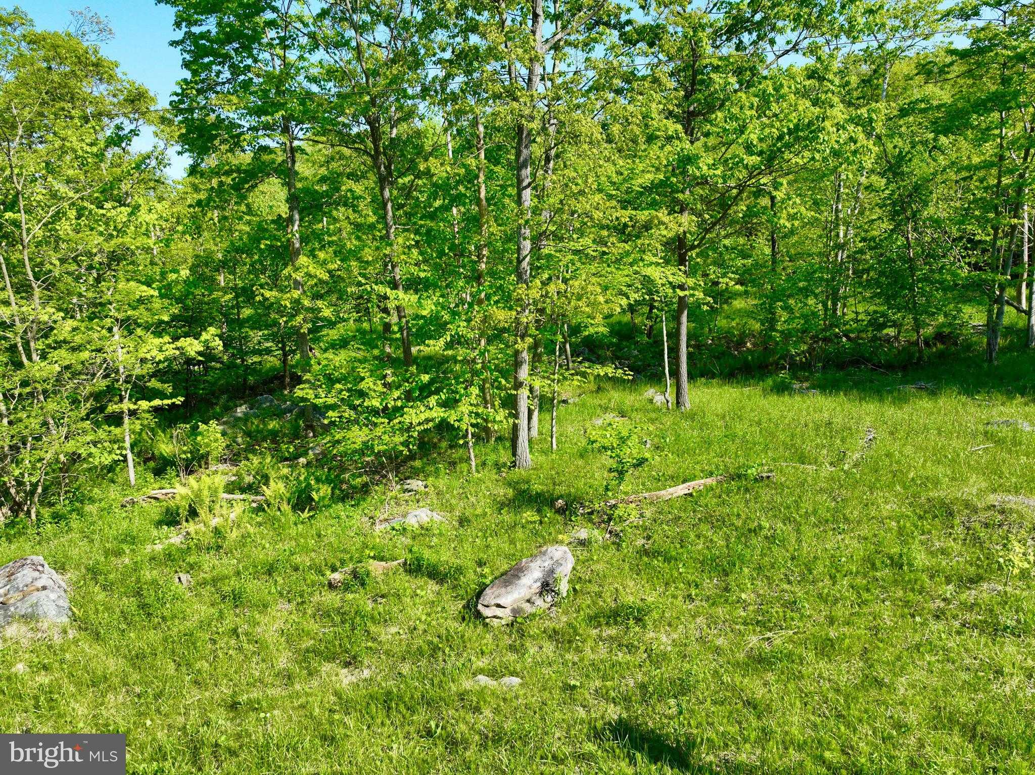 21550 Garrett Hwy photo 16