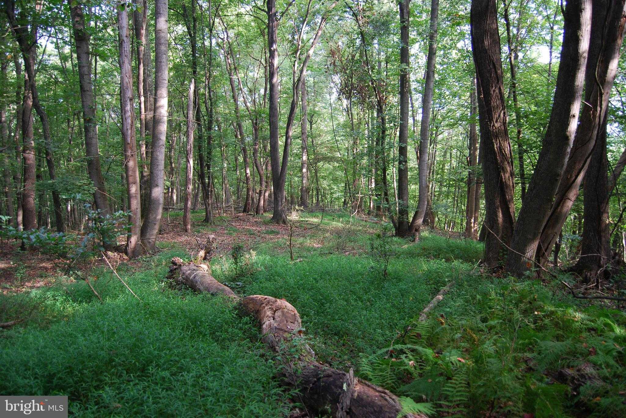 2251 Householder Rd photo 13