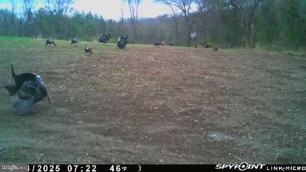 2251 Householder Rd photo 61