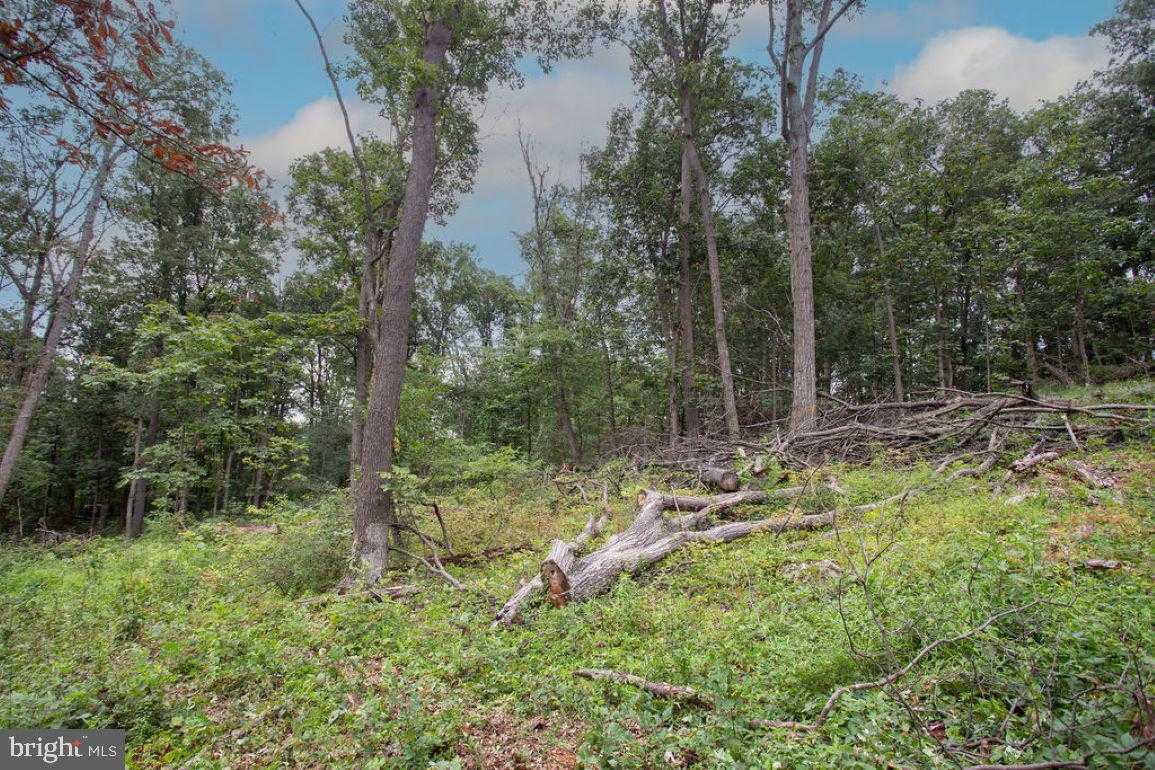 2325 York Rd photo 42