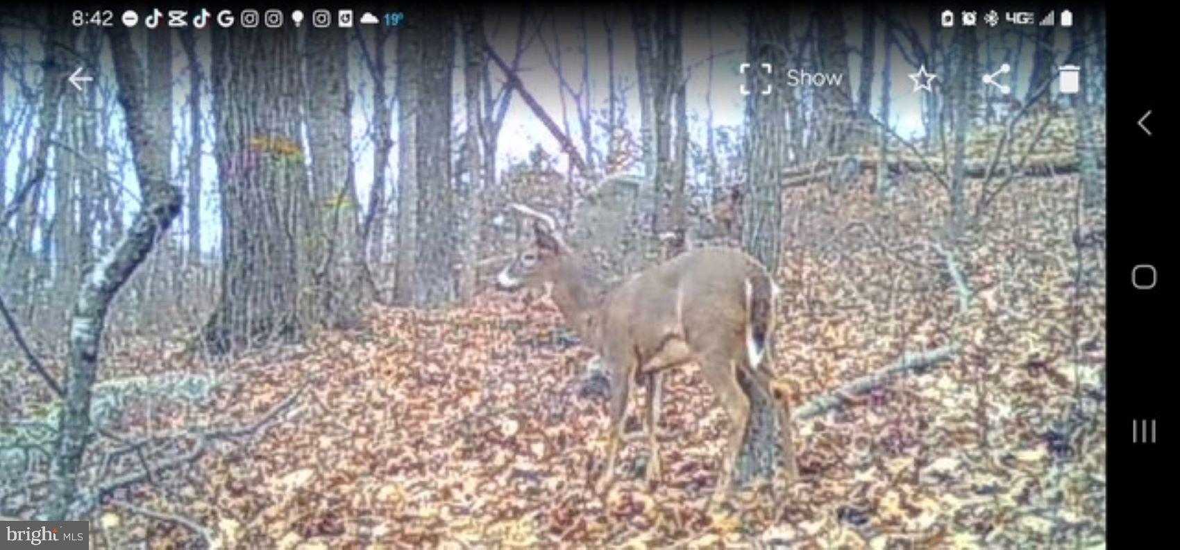 2325 York Rd photo 58