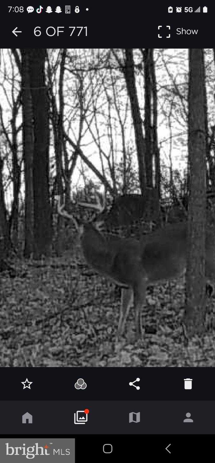 2325 York Rd photo 59