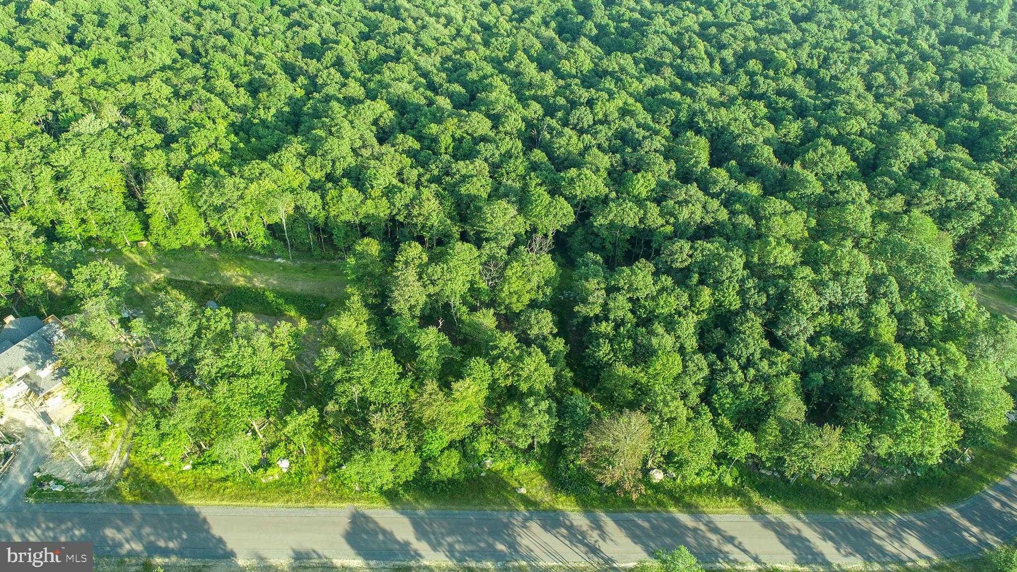 197 Fork Run Trl photo 5