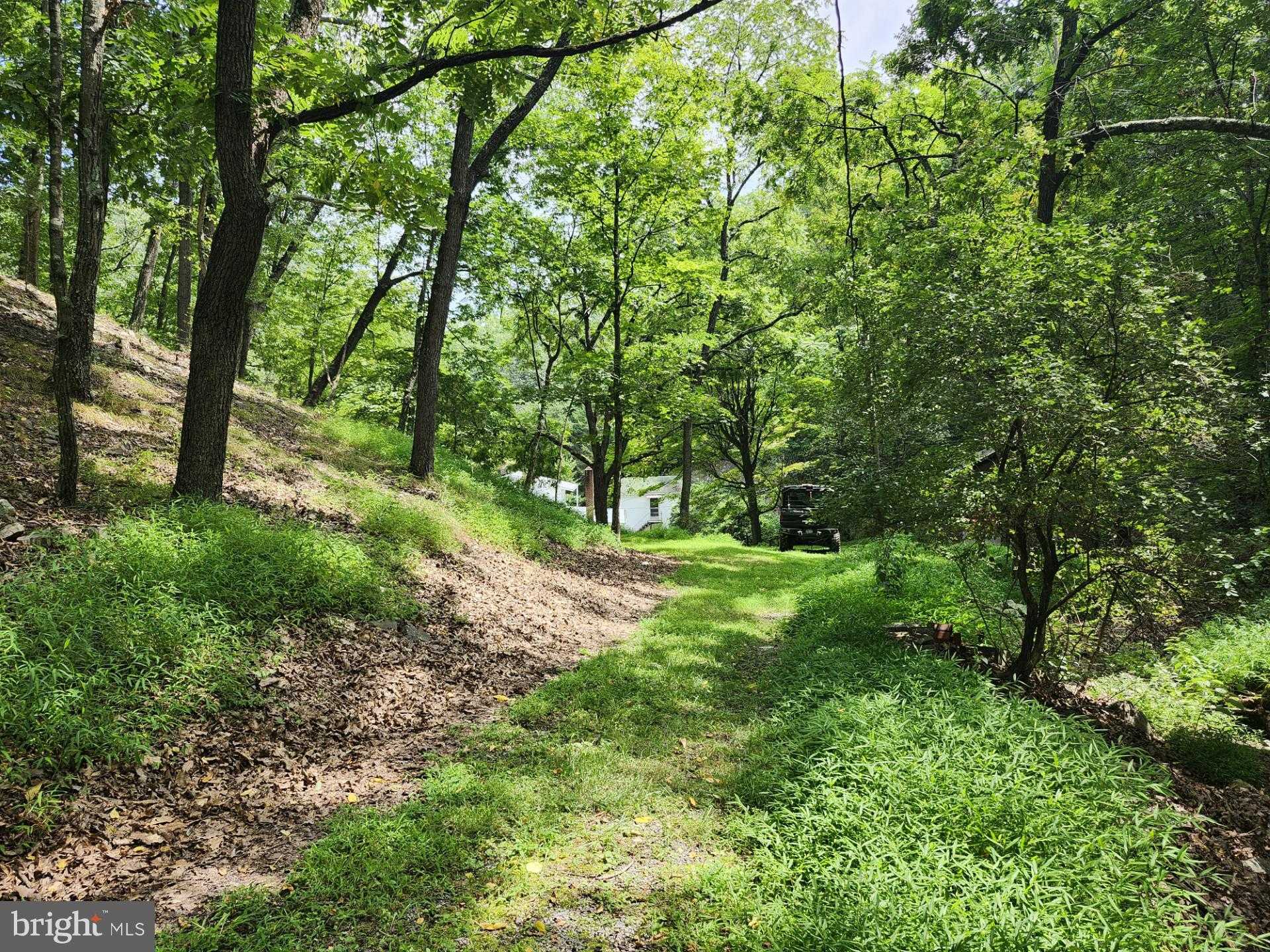 6836 State Road 55 photo 101