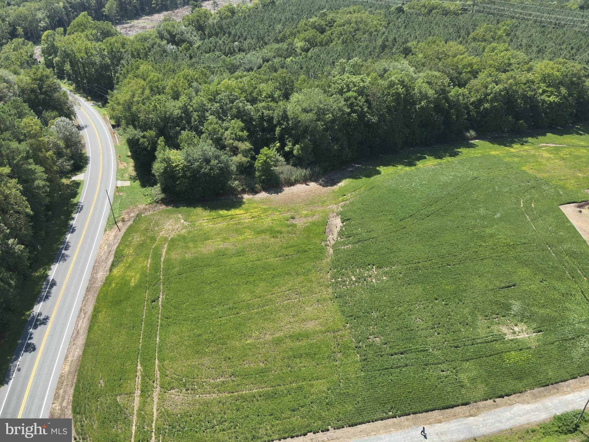 Snow Hill Rd photo 12