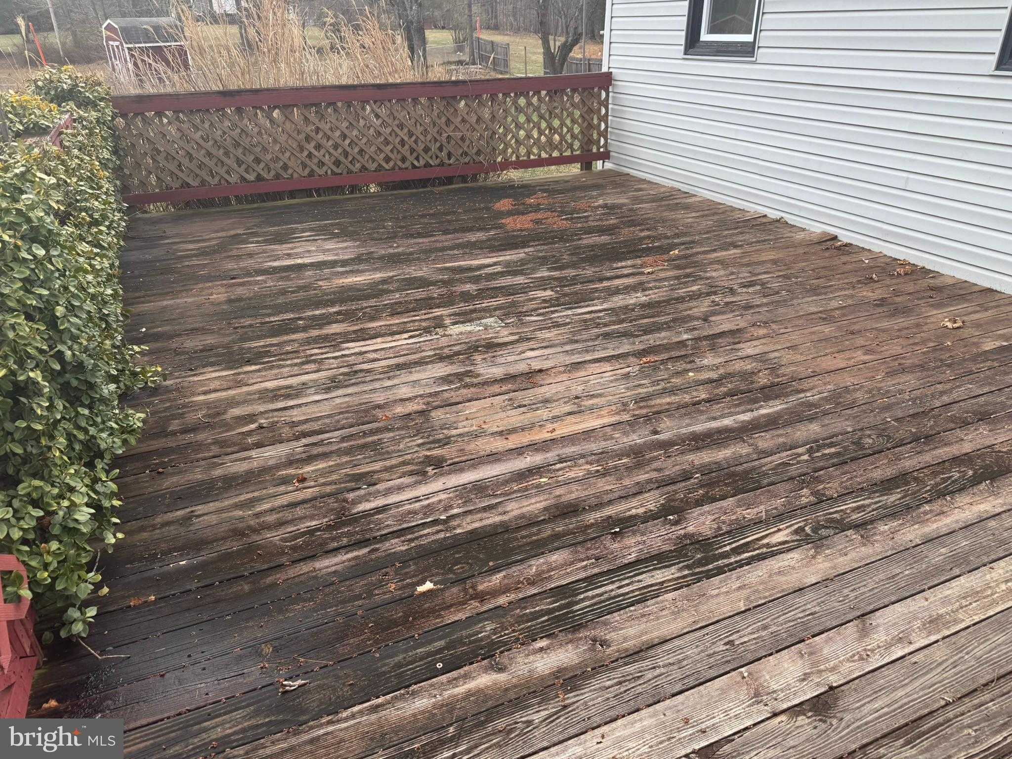 78 Baywatch Ln photo 21