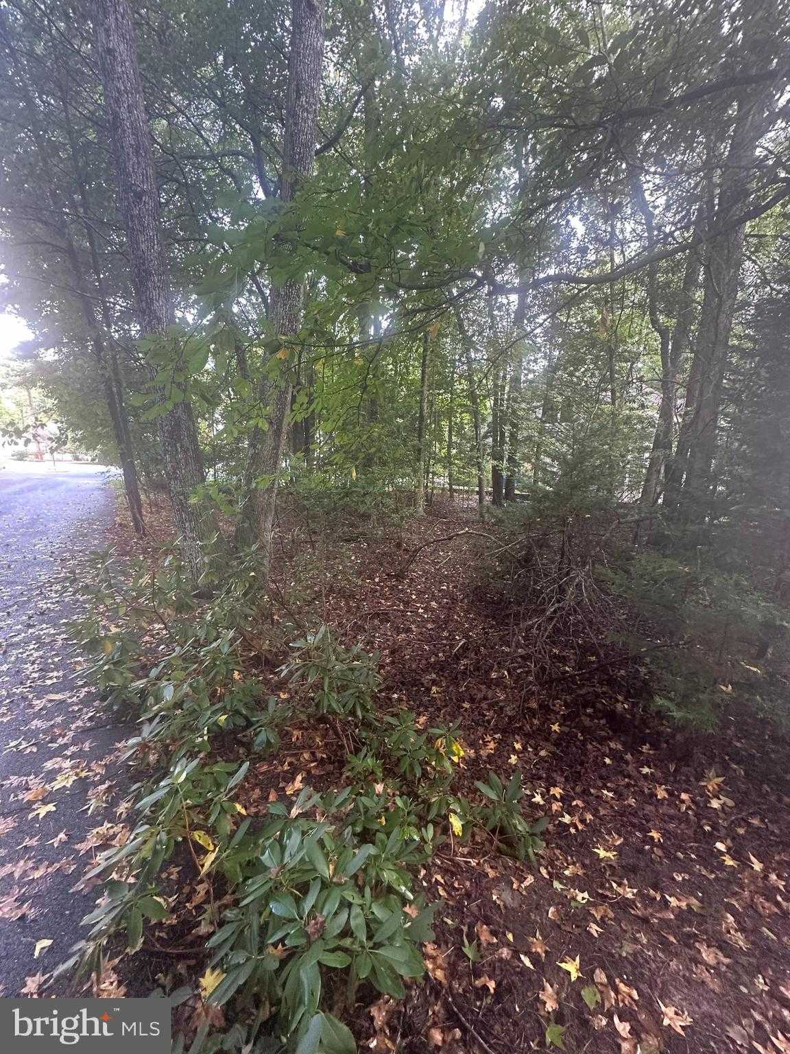 226 Charleston Rd photo 6