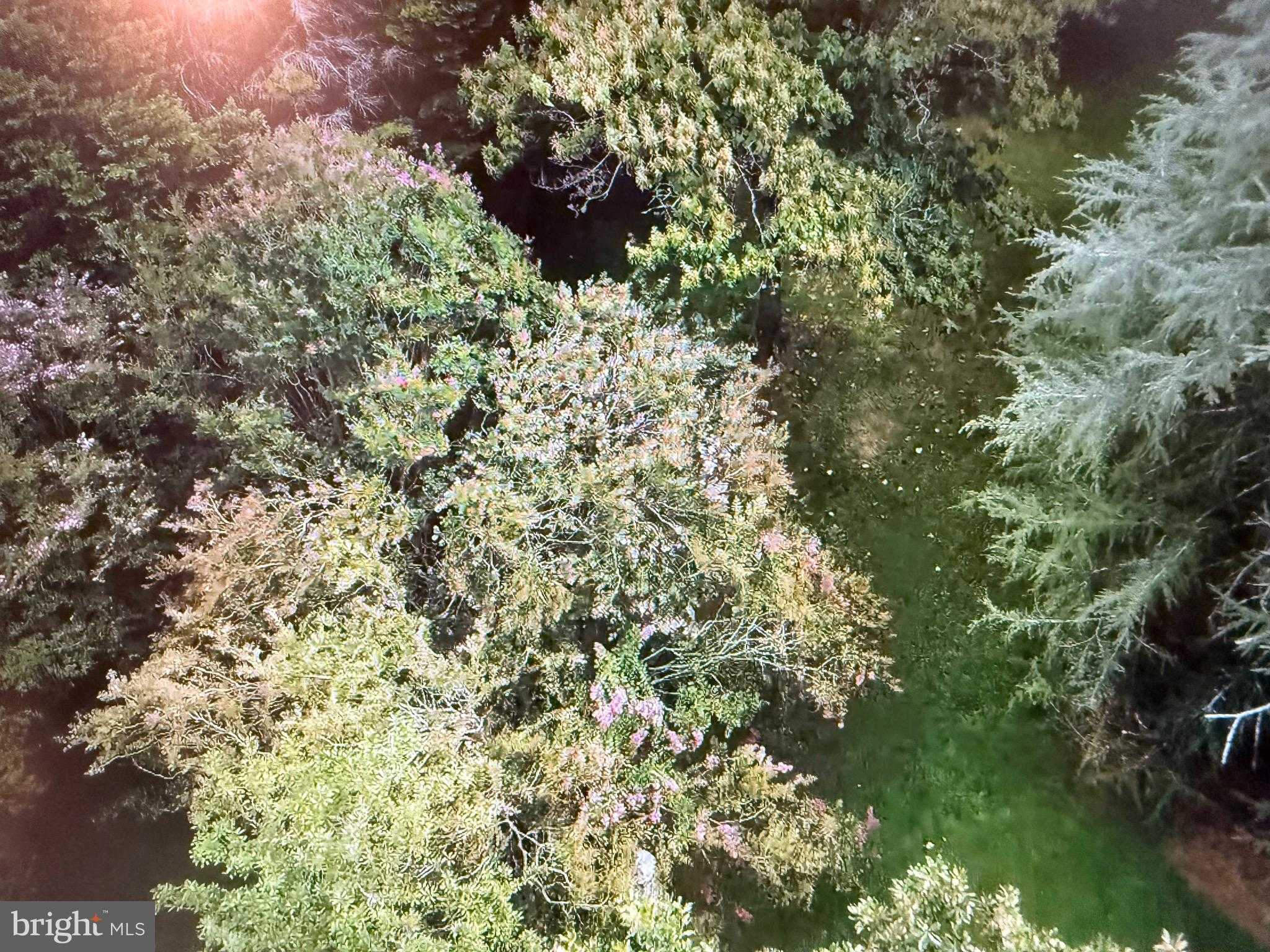 High Banks Dr photo 8