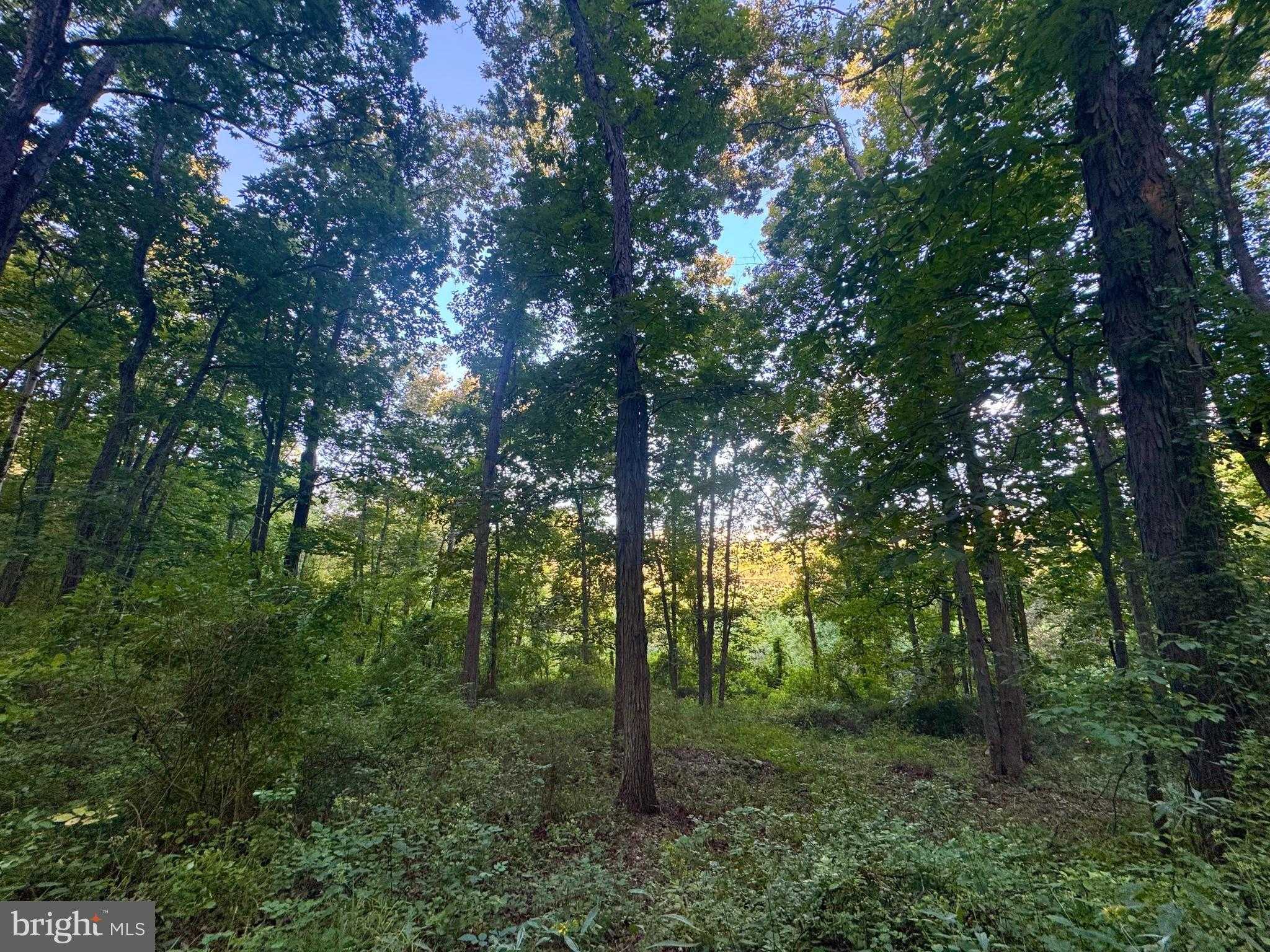 Hopewell Rd photo 24