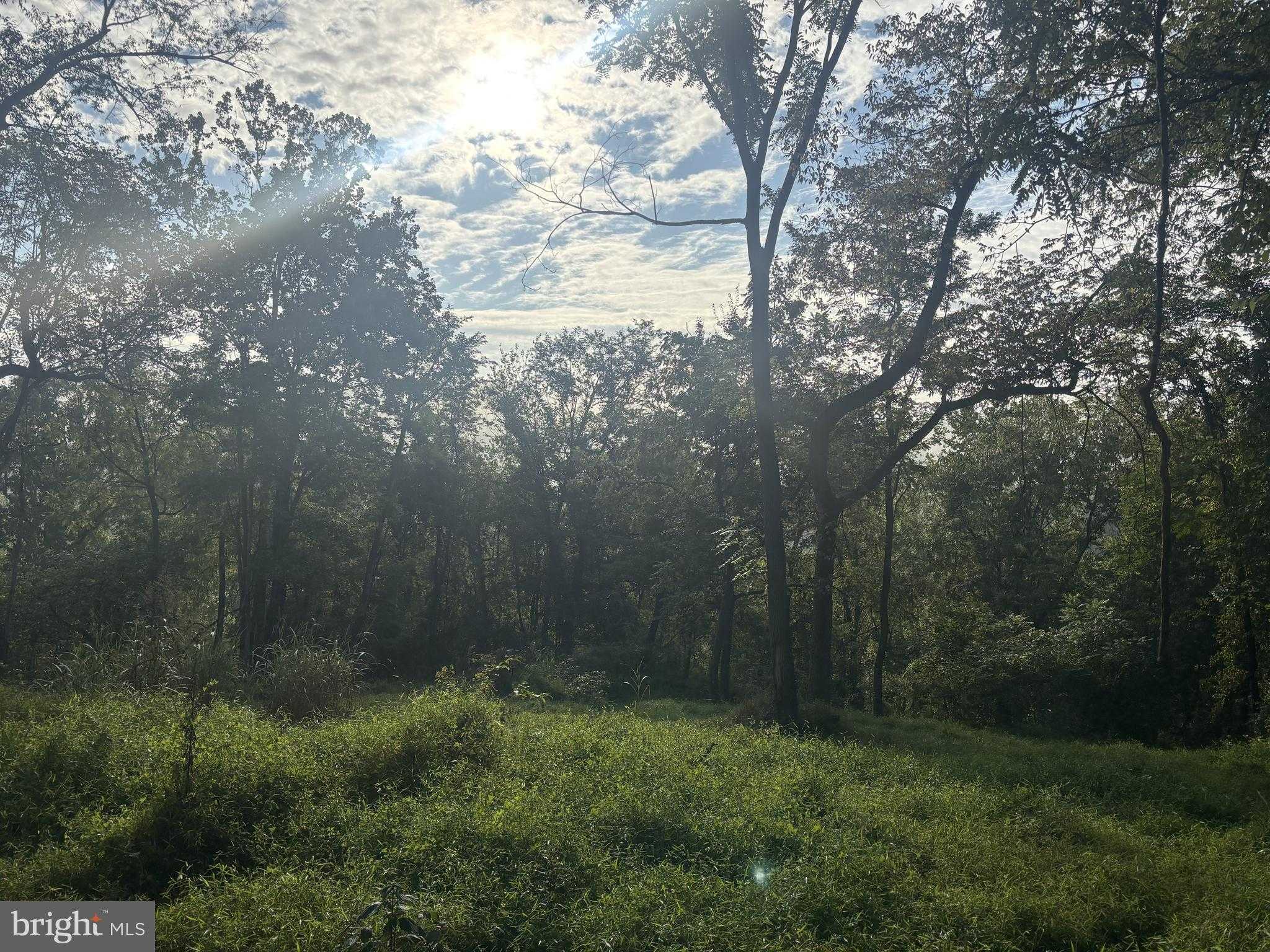 Wolfsville Rd photo 3