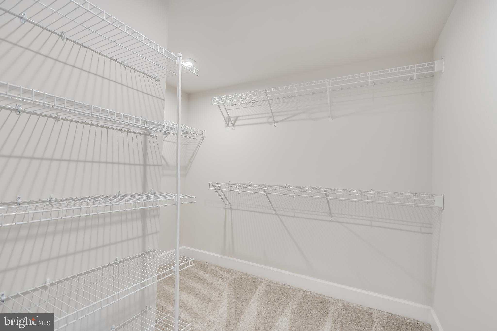 10835 Foxtrot Cir photo 15