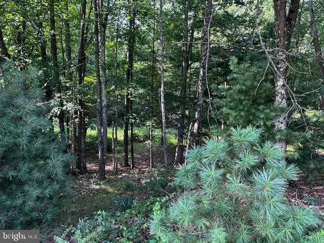 1217 Barton Rd photo 35