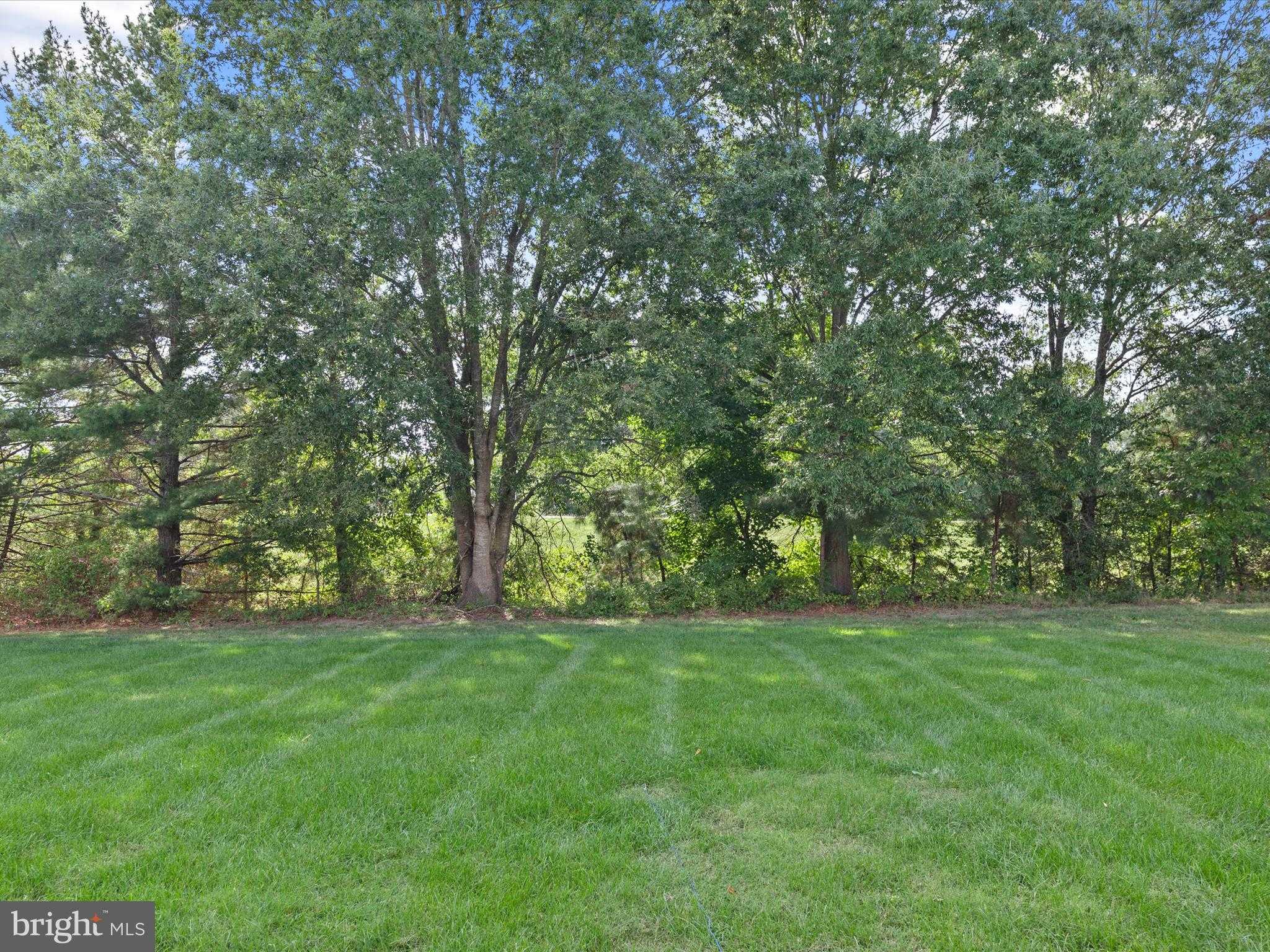 424 Lena Ln photo 46