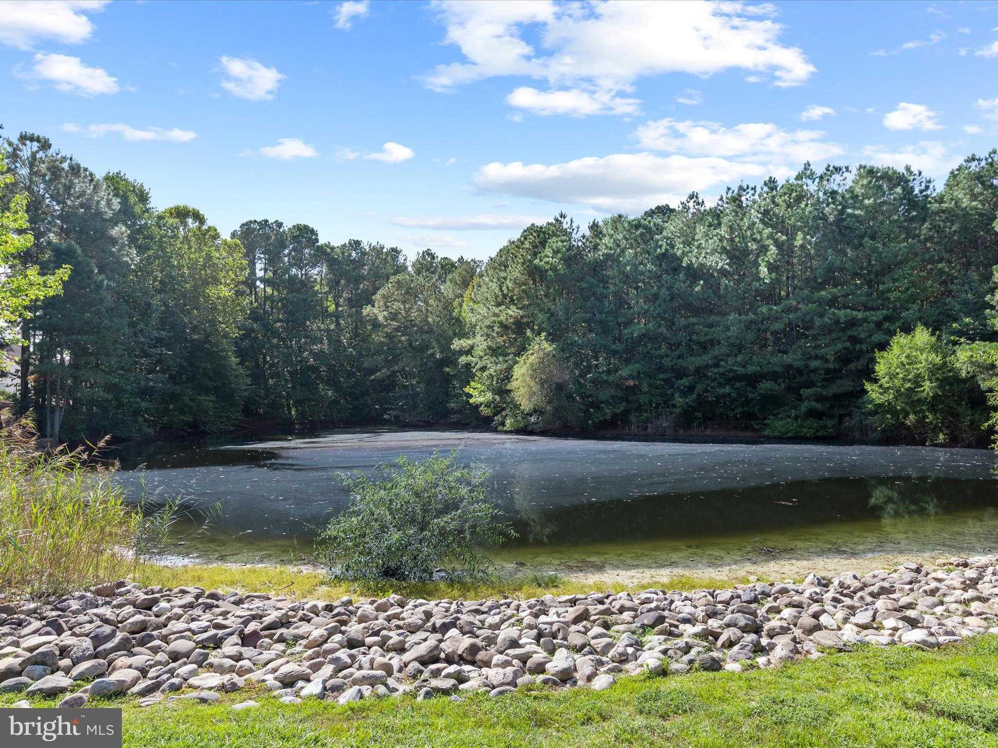 424 Lena Ln photo 67