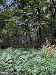 CUBBY HOLE LANE - LOT 25 photo 7