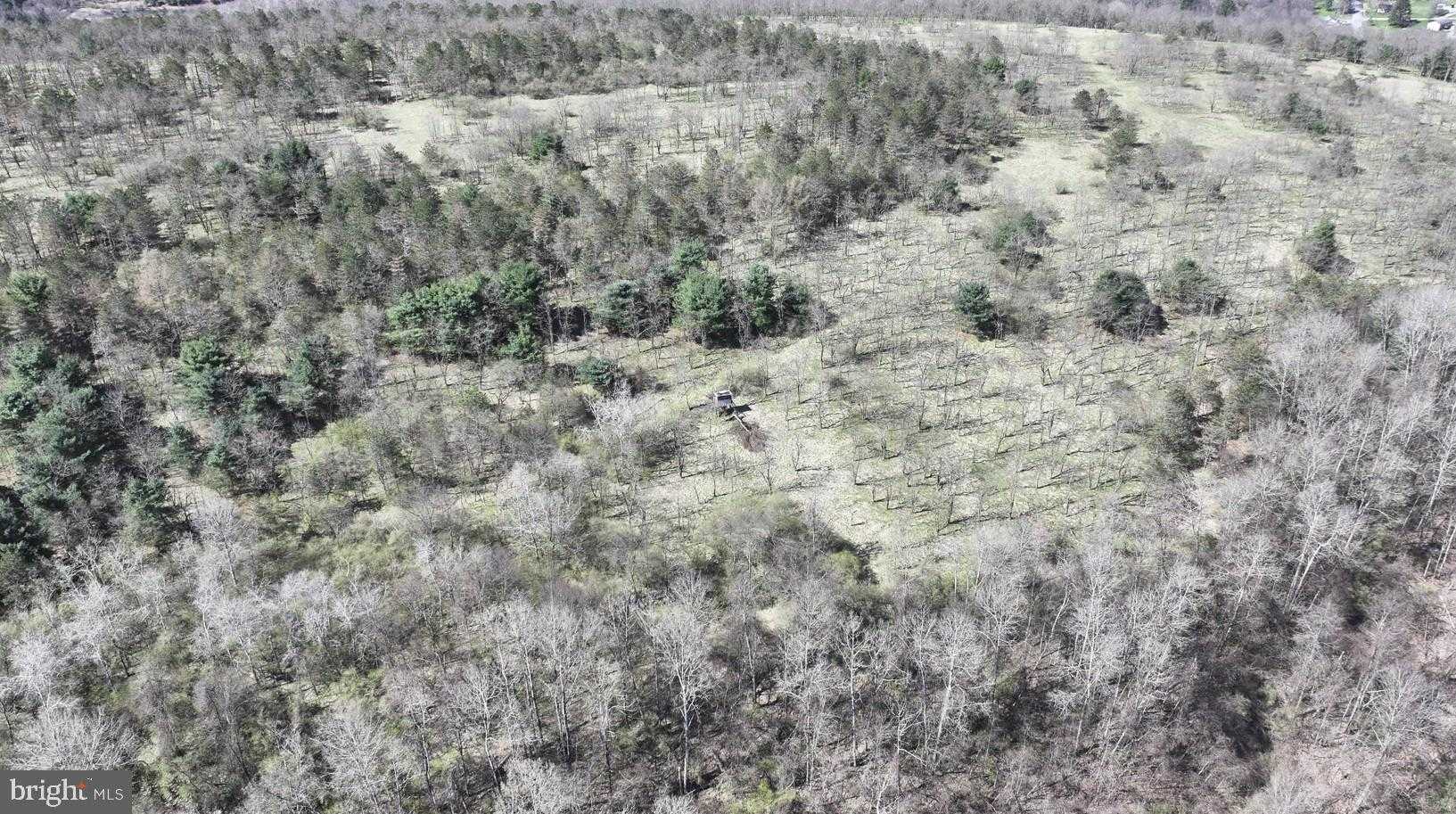 Heverly Blvd photo 9