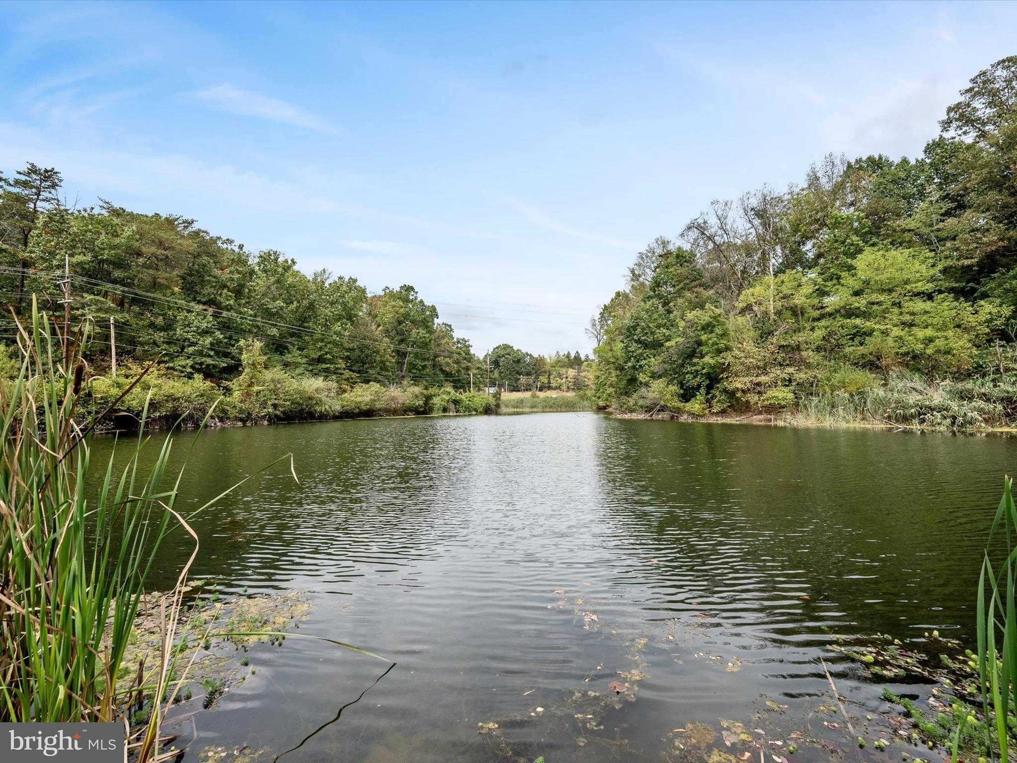 Mill Stone Run photo 7