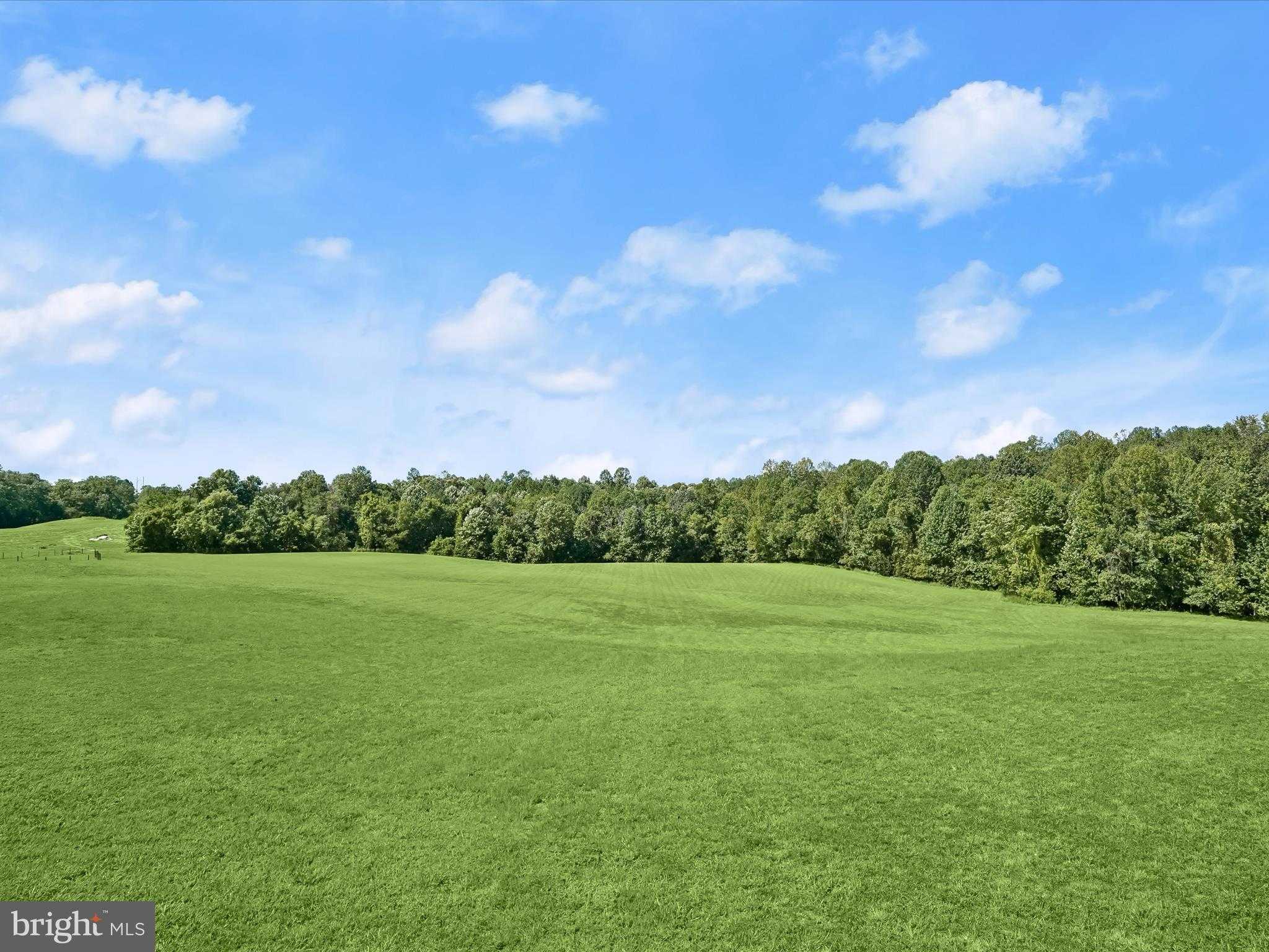 16195 Wilkerson Pl photo 50