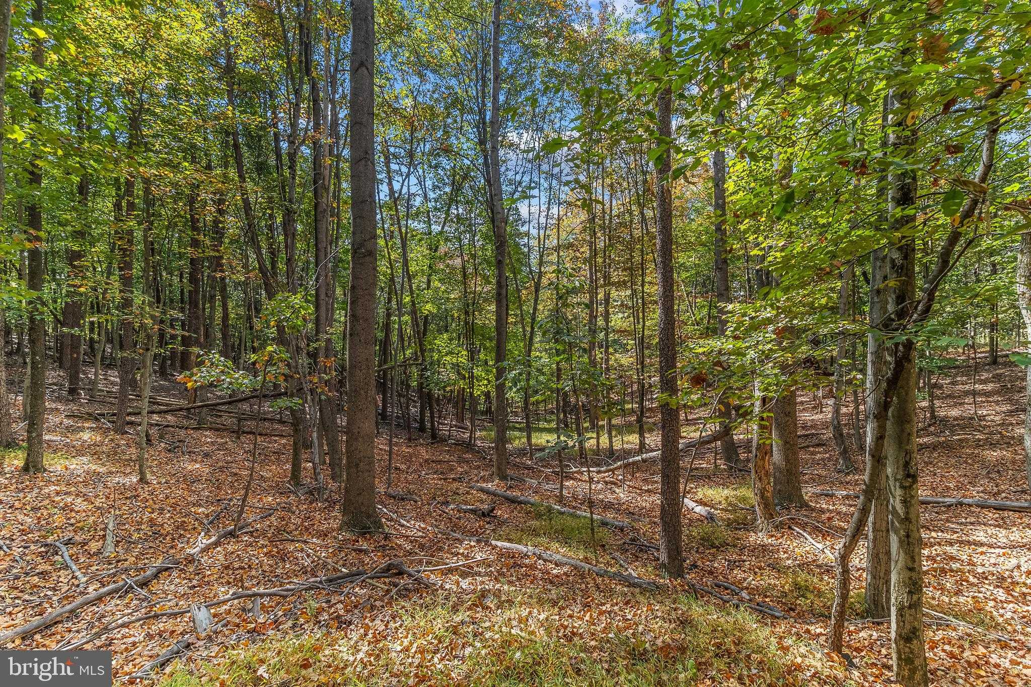 33 Maple Ln photo 21