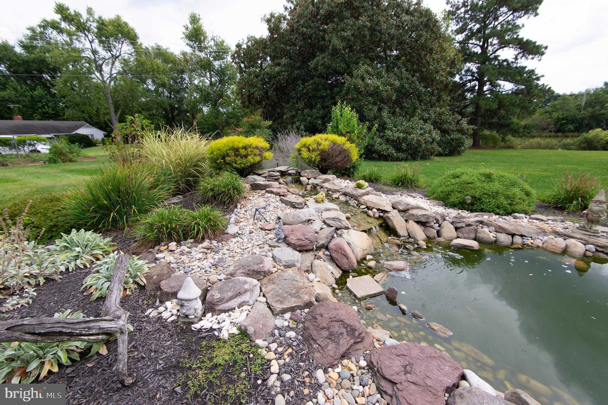 2202 Jenkins Creek Rd photo 61