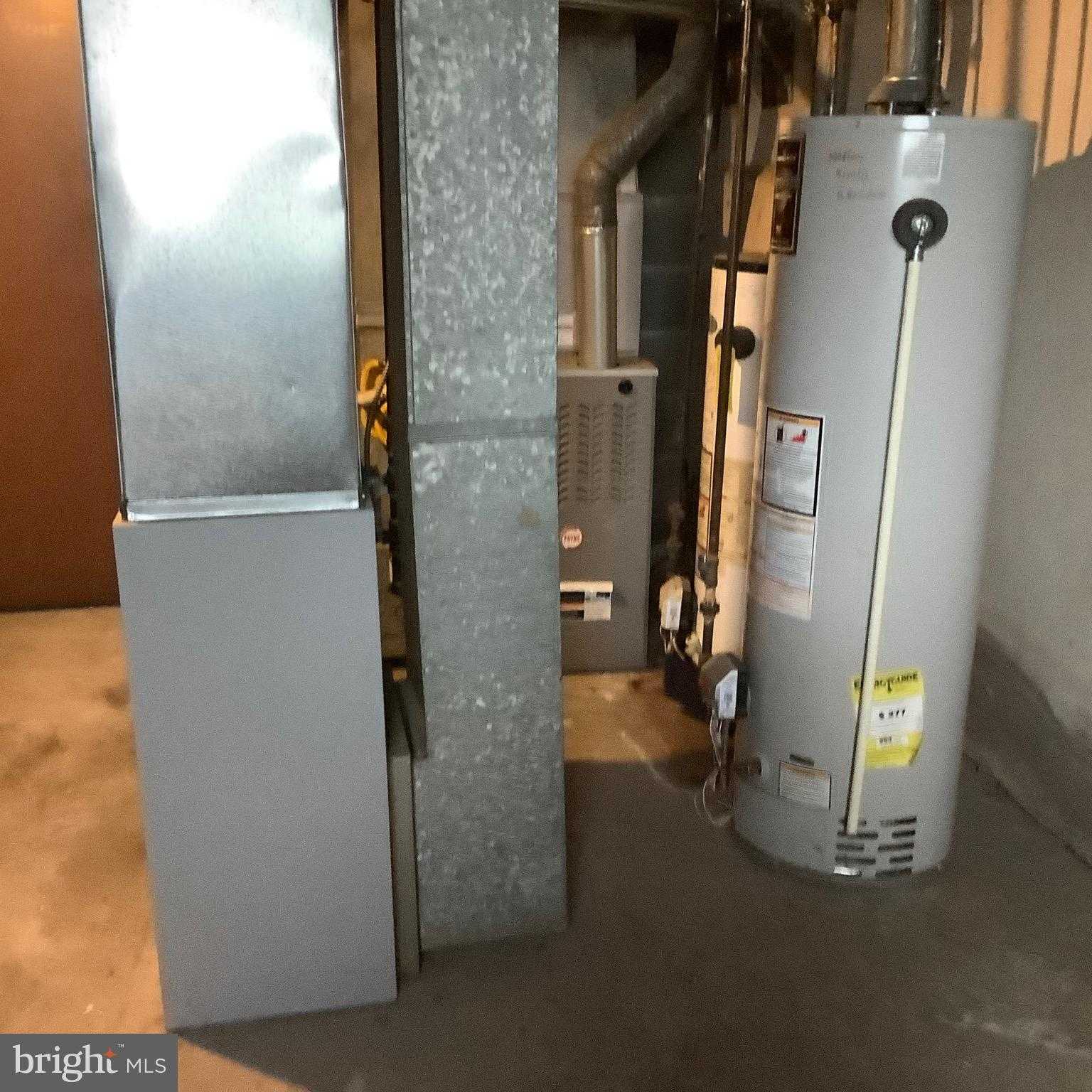 7251 Haverford Ave photo 15