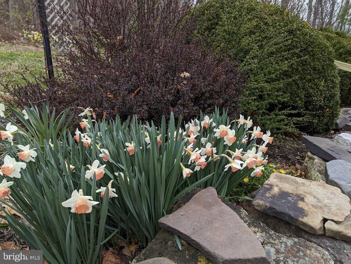 1537 Hidden Valley Rd photo 14