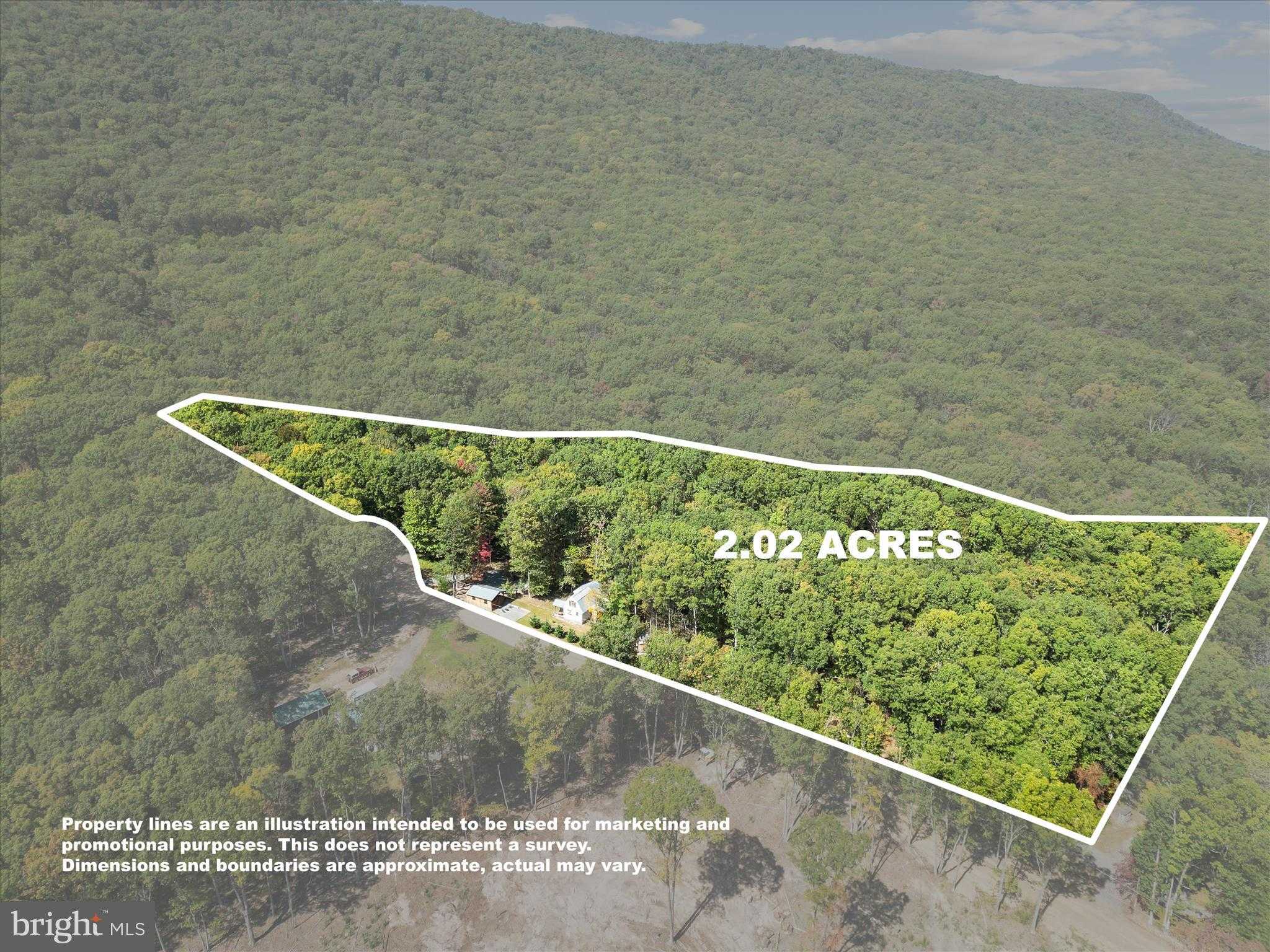 454 Wild Turkey Trl photo 44