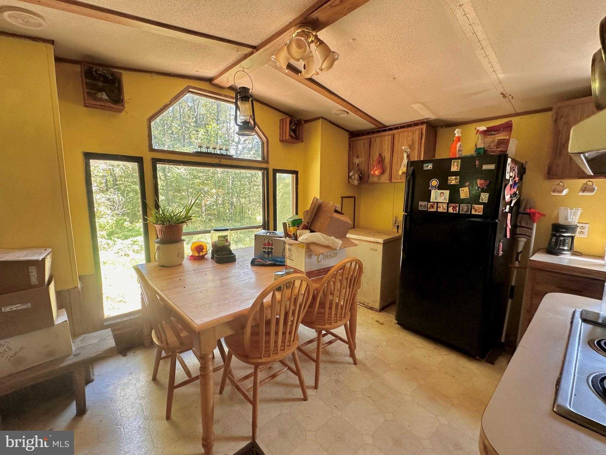 6805 Black Bear Rd photo 34