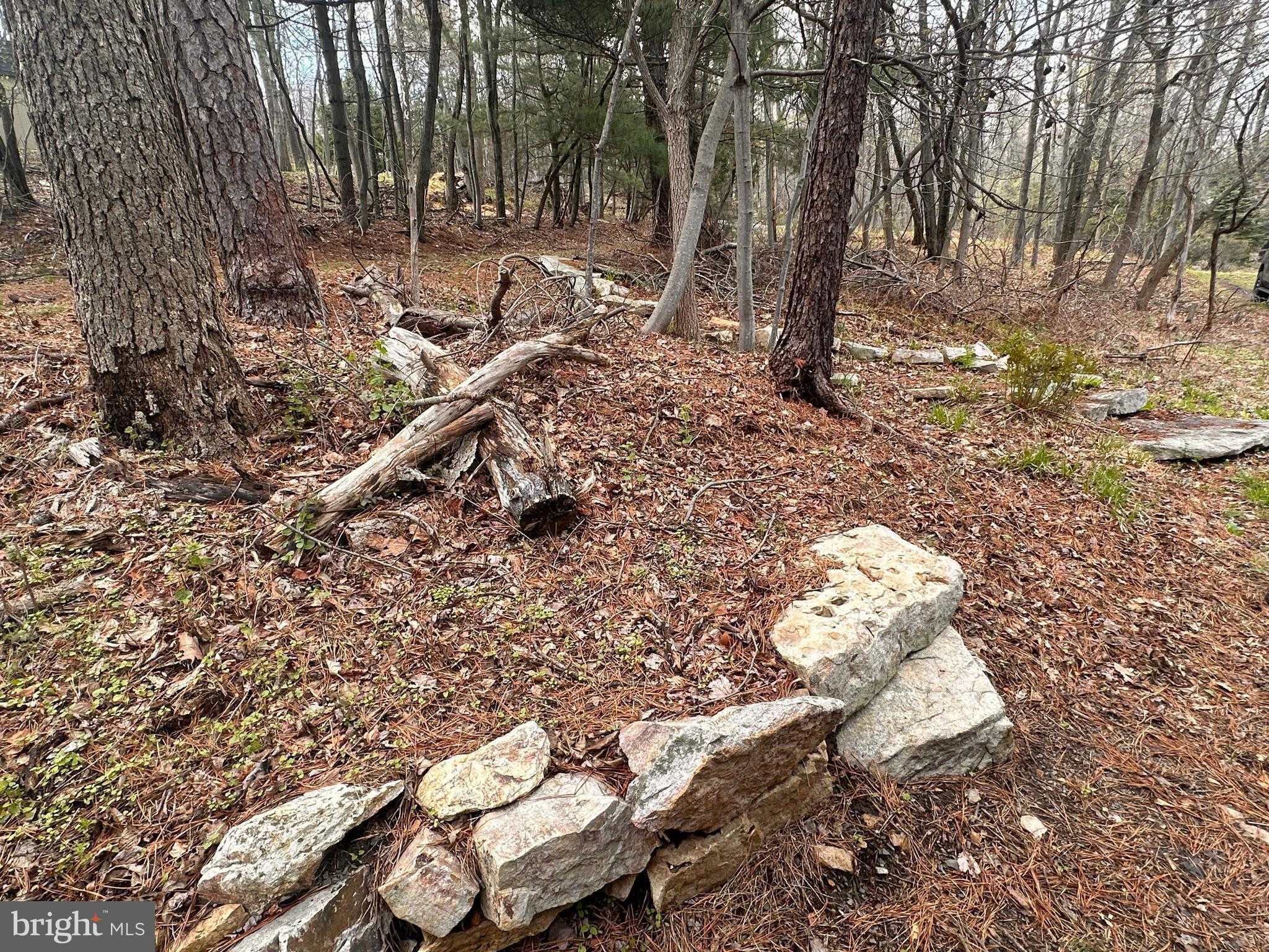 15483 Dogwood Dr photo 11