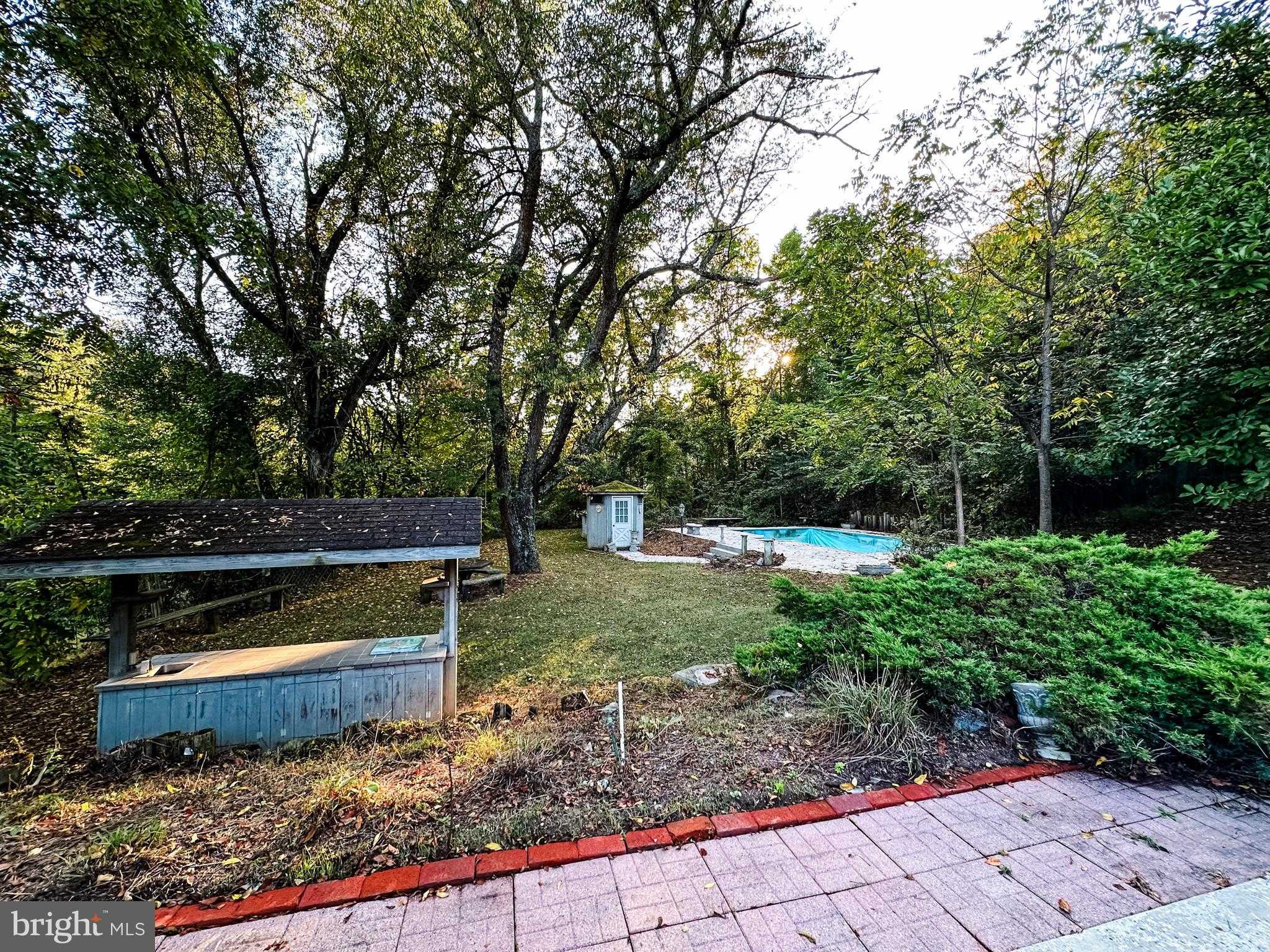 20505 Andy Ln photo 37