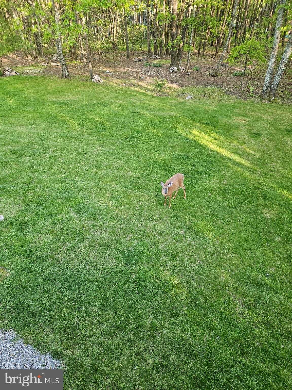 692 Watercrest Ave photo 29