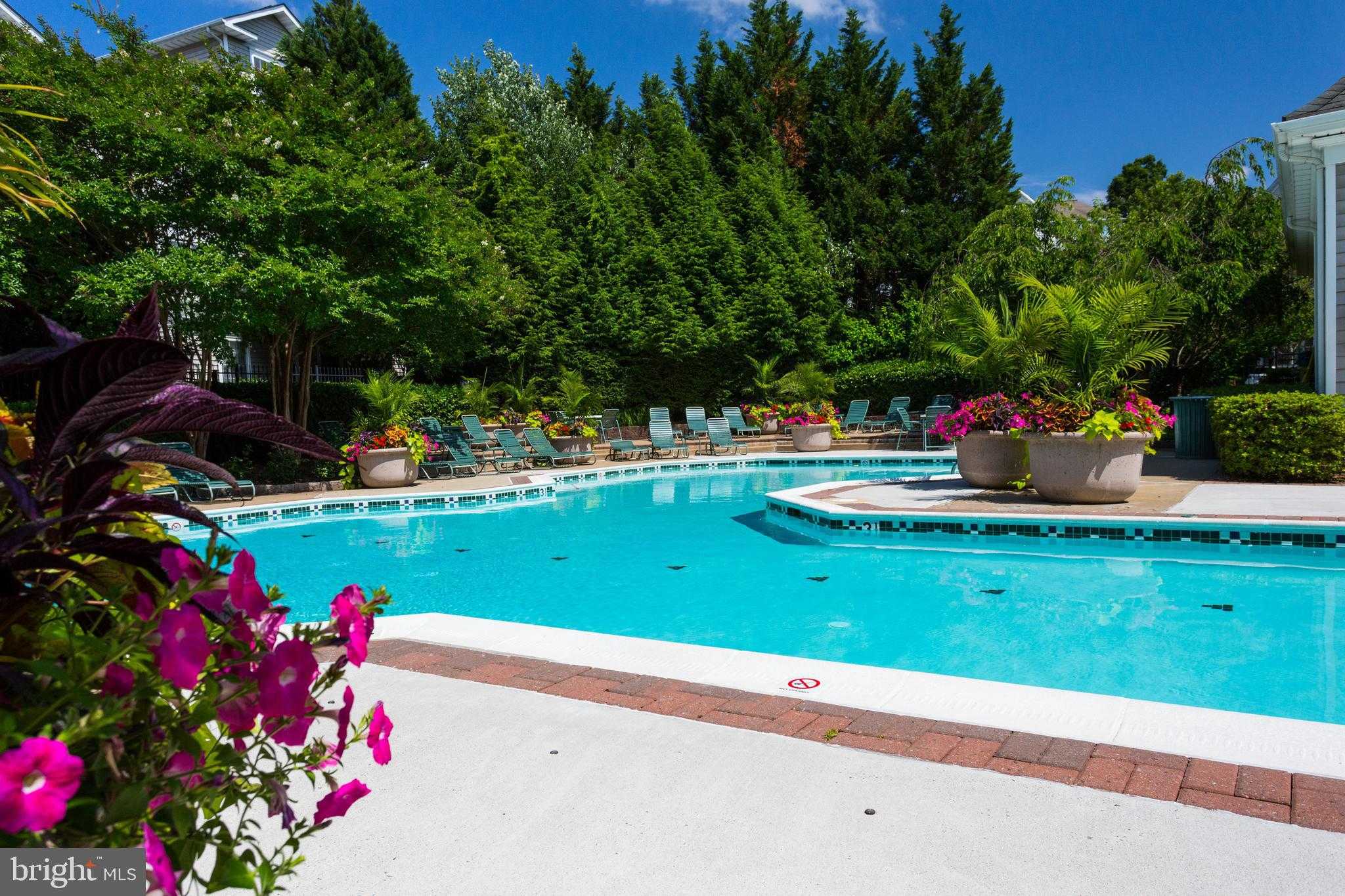 4506 Superior Sq photo 37