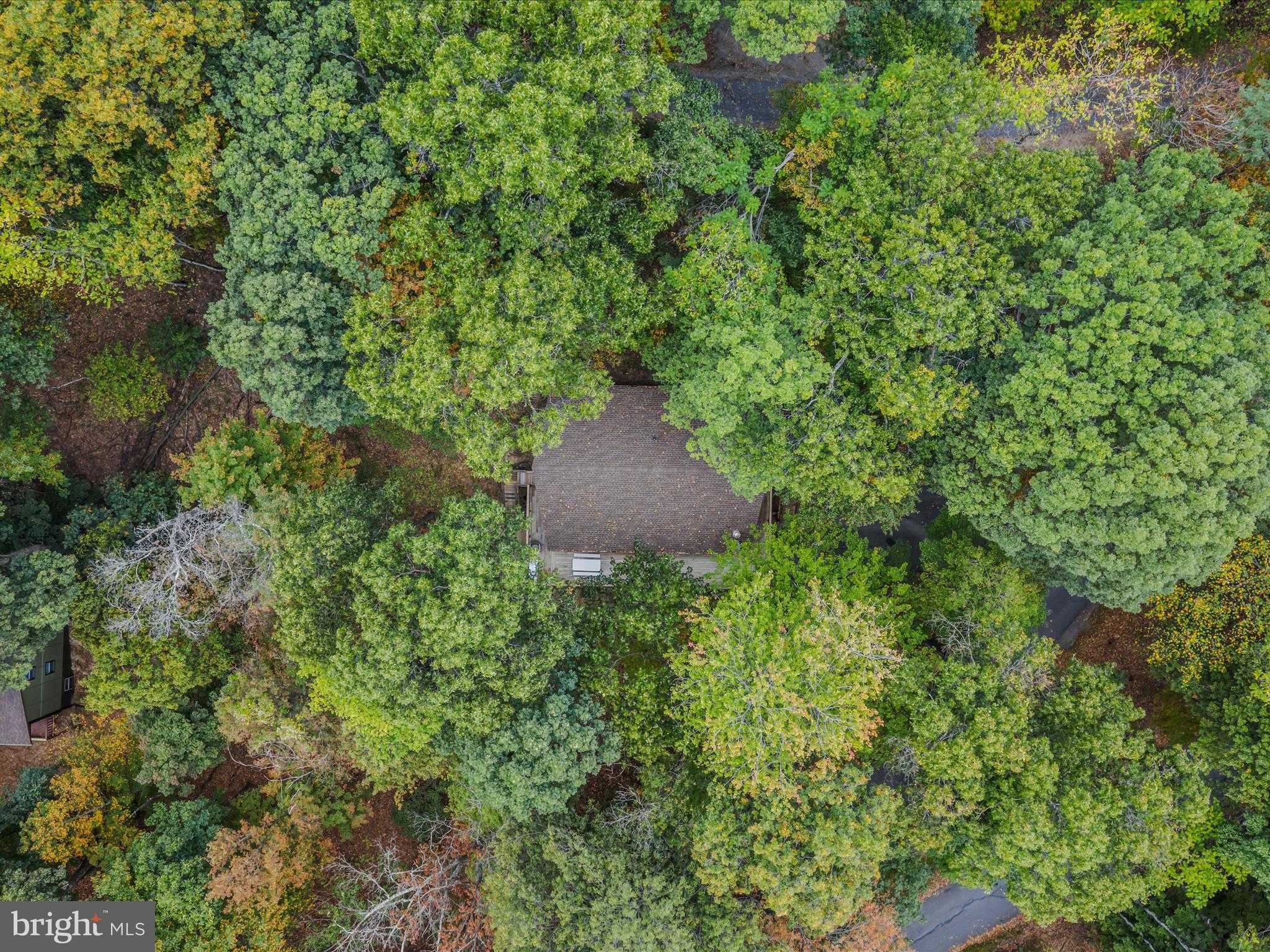 35 Warblers Way photo 39