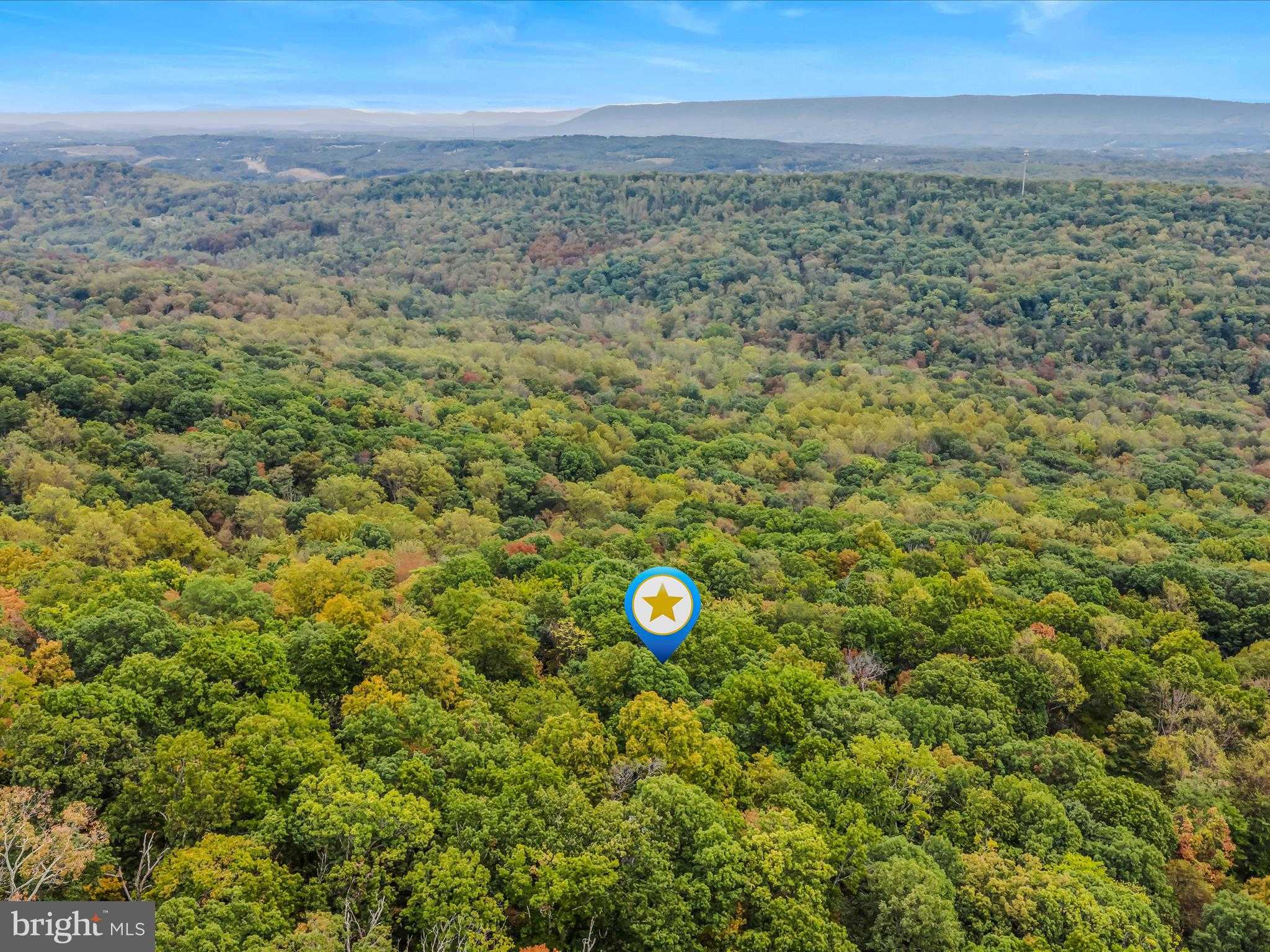 35 Warblers Way photo 44