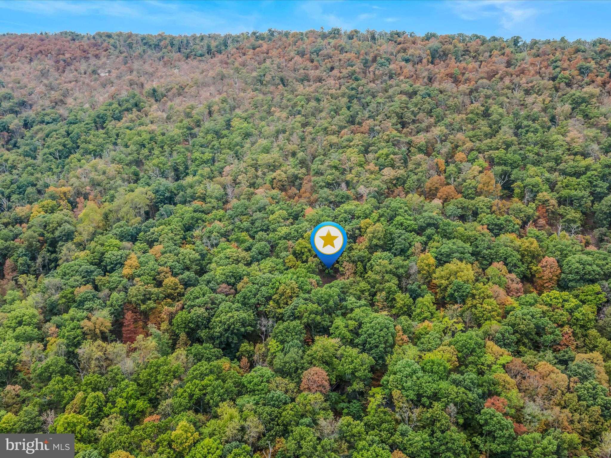 35 Warblers Way photo 50