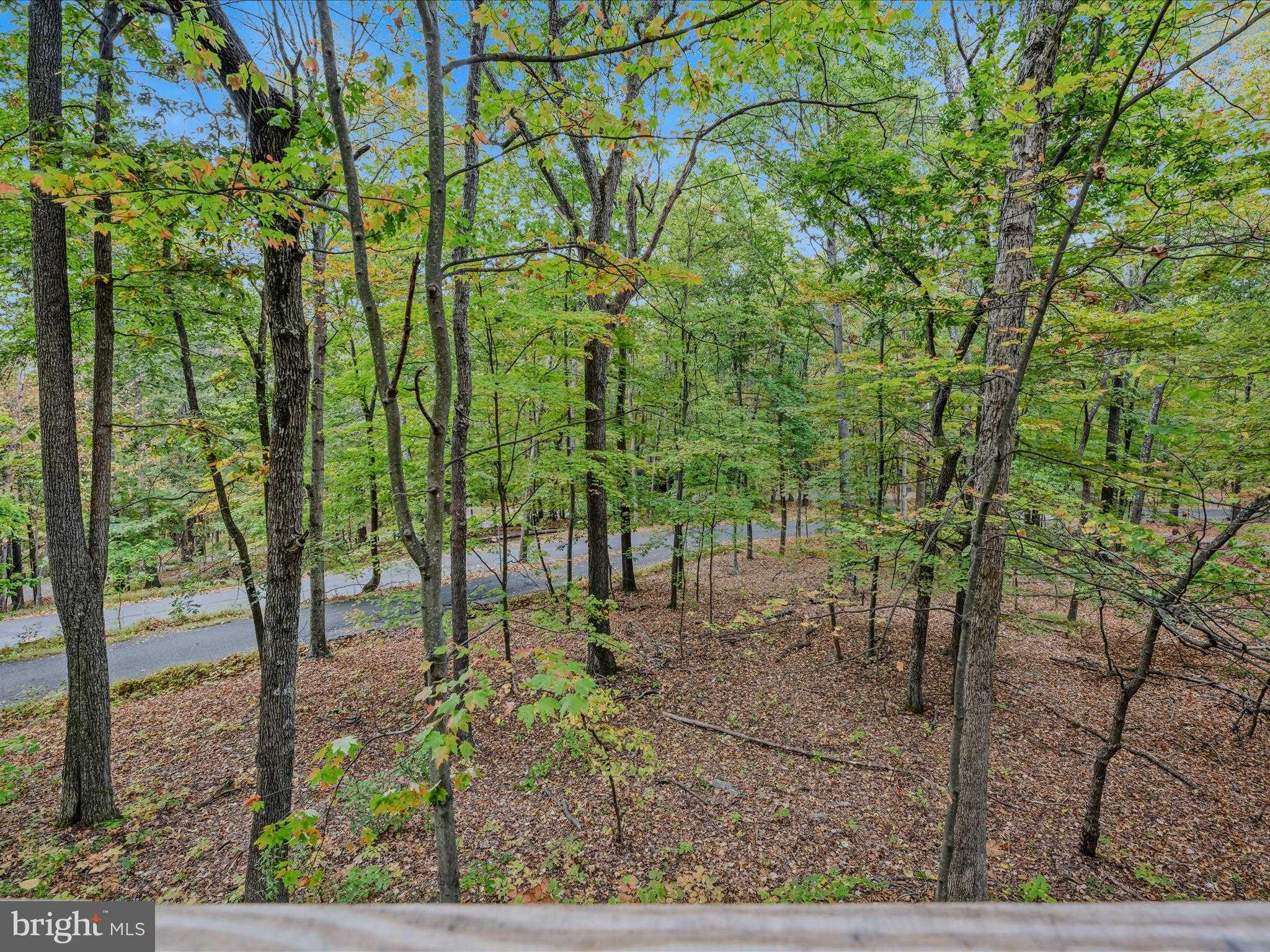 35 Warblers Way photo 8