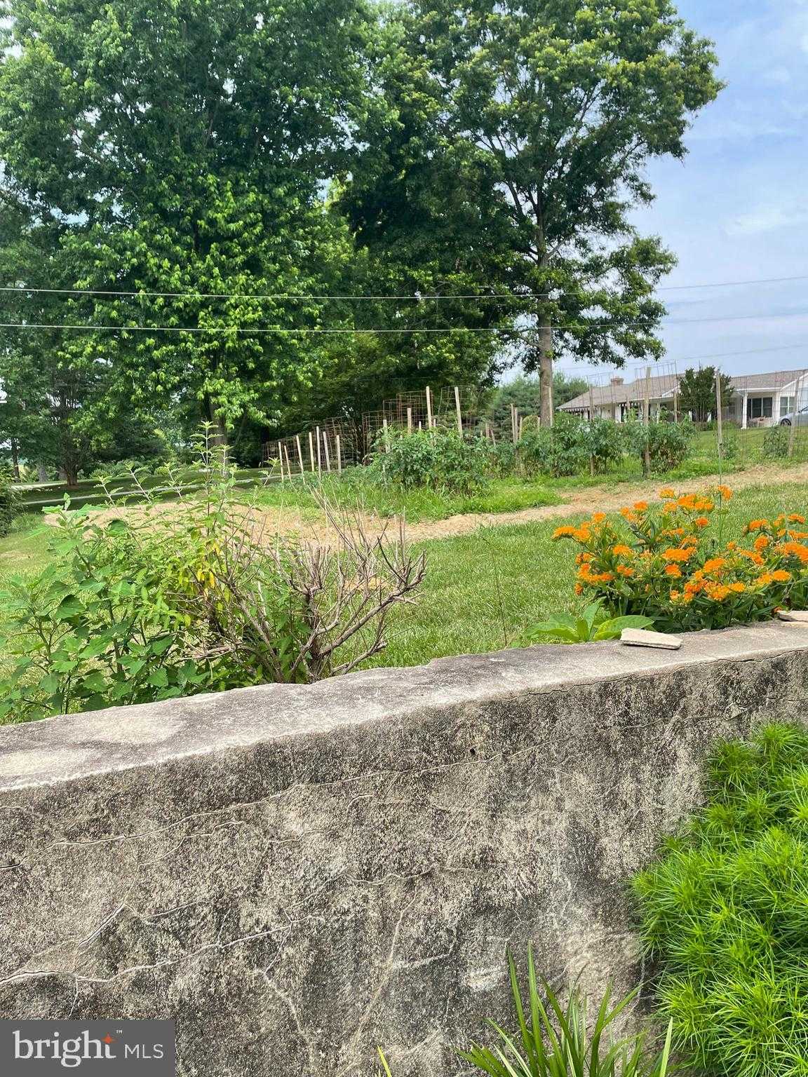 1080 Mount Airy Rd photo 48