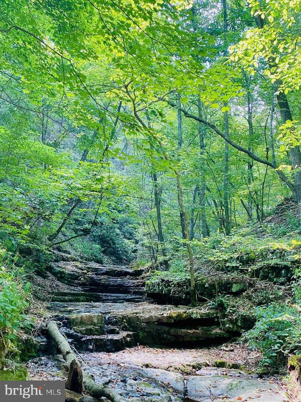 914 Plains Rd photo 10