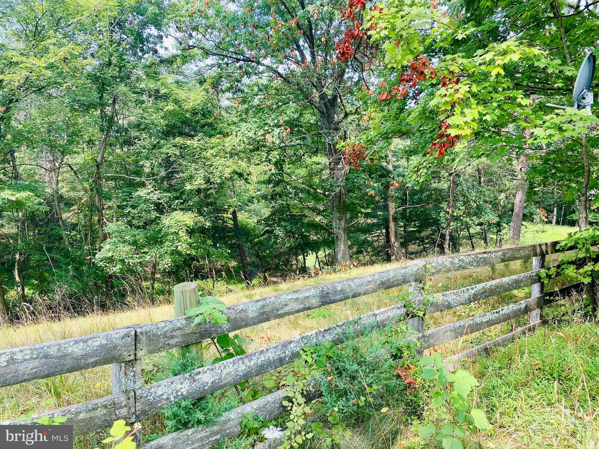 914 Plains Rd photo 14