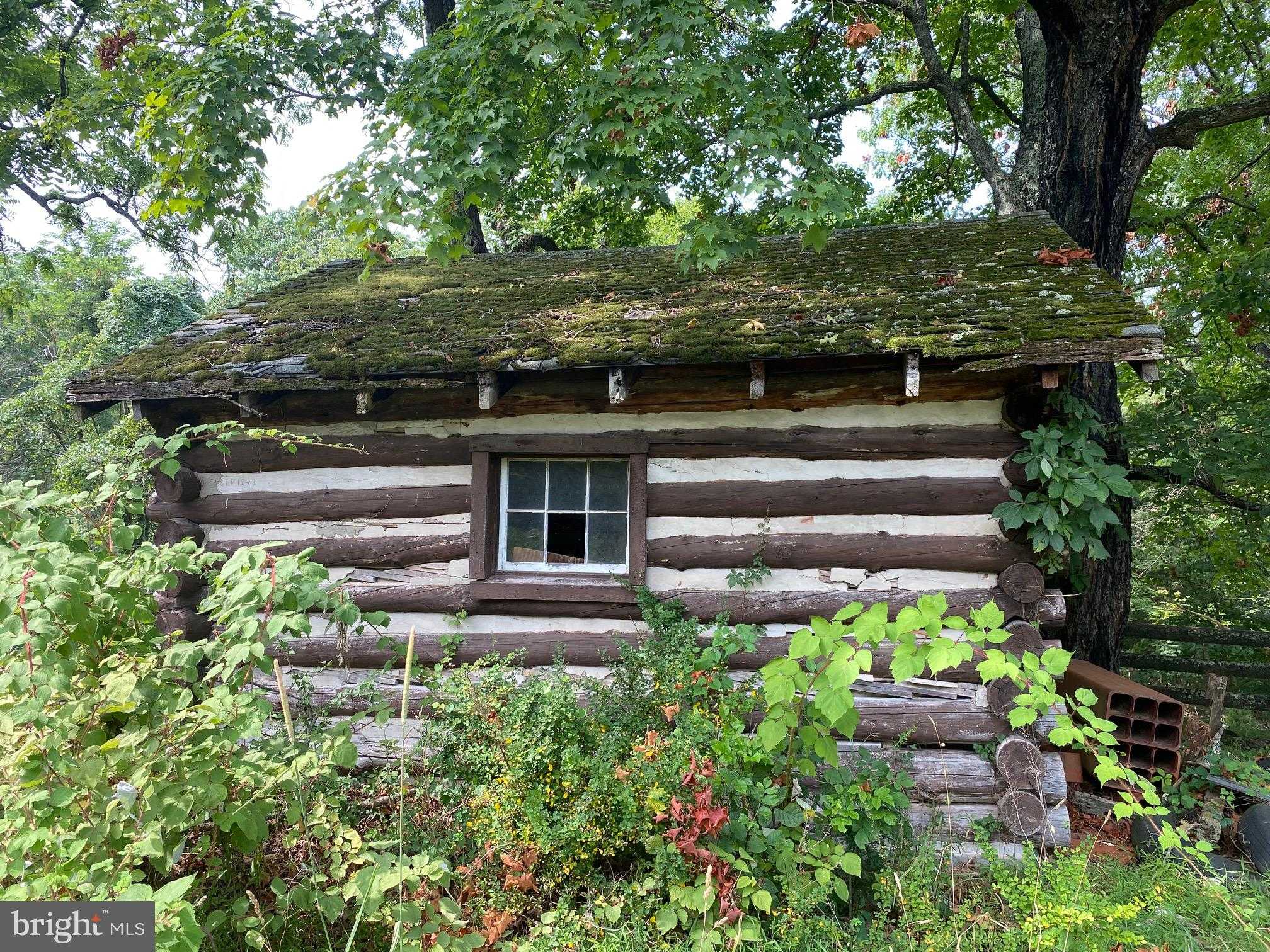 914 Plains Rd photo 2