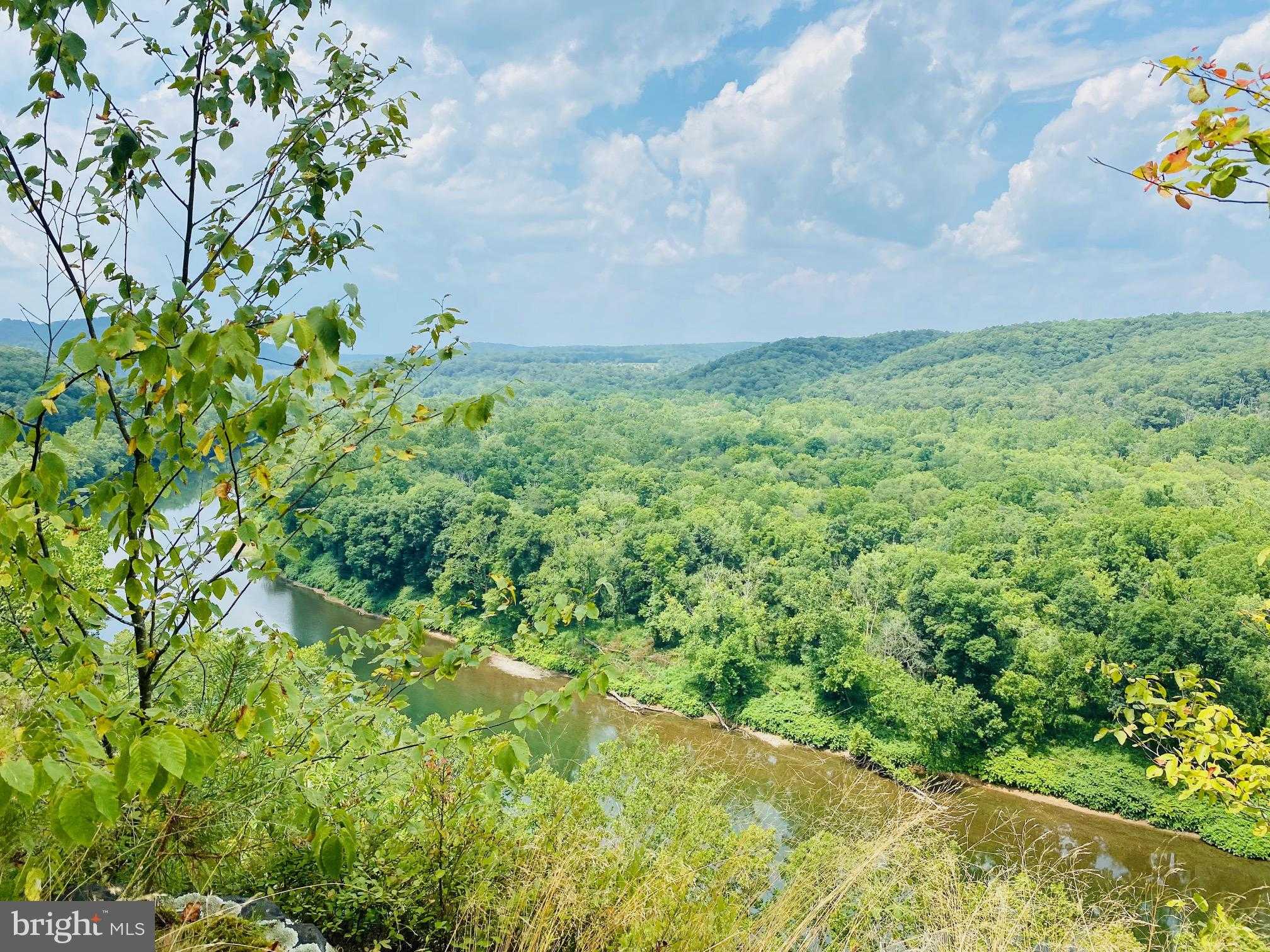 914 Plains Rd photo 29