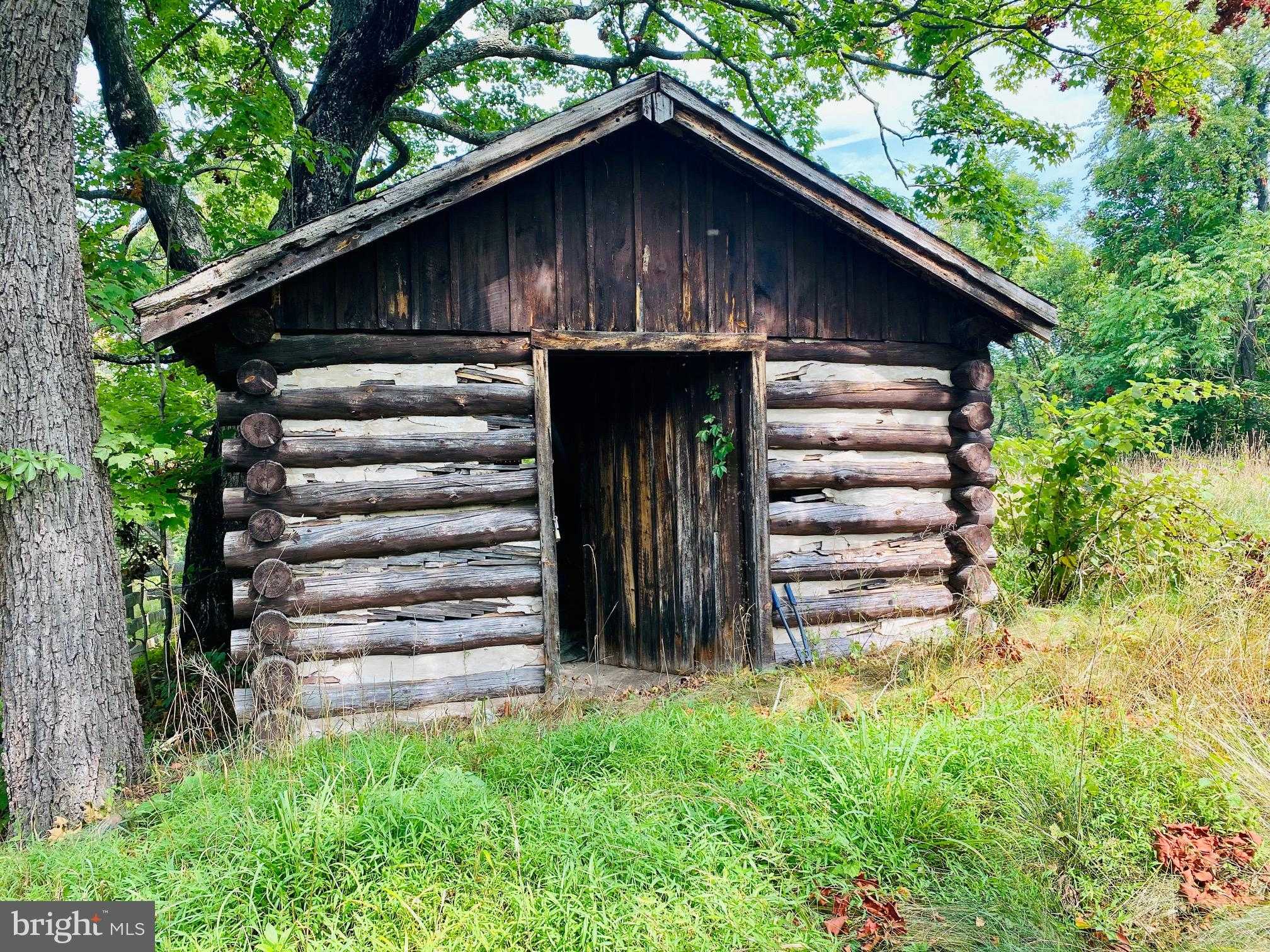 914 Plains Rd photo 3