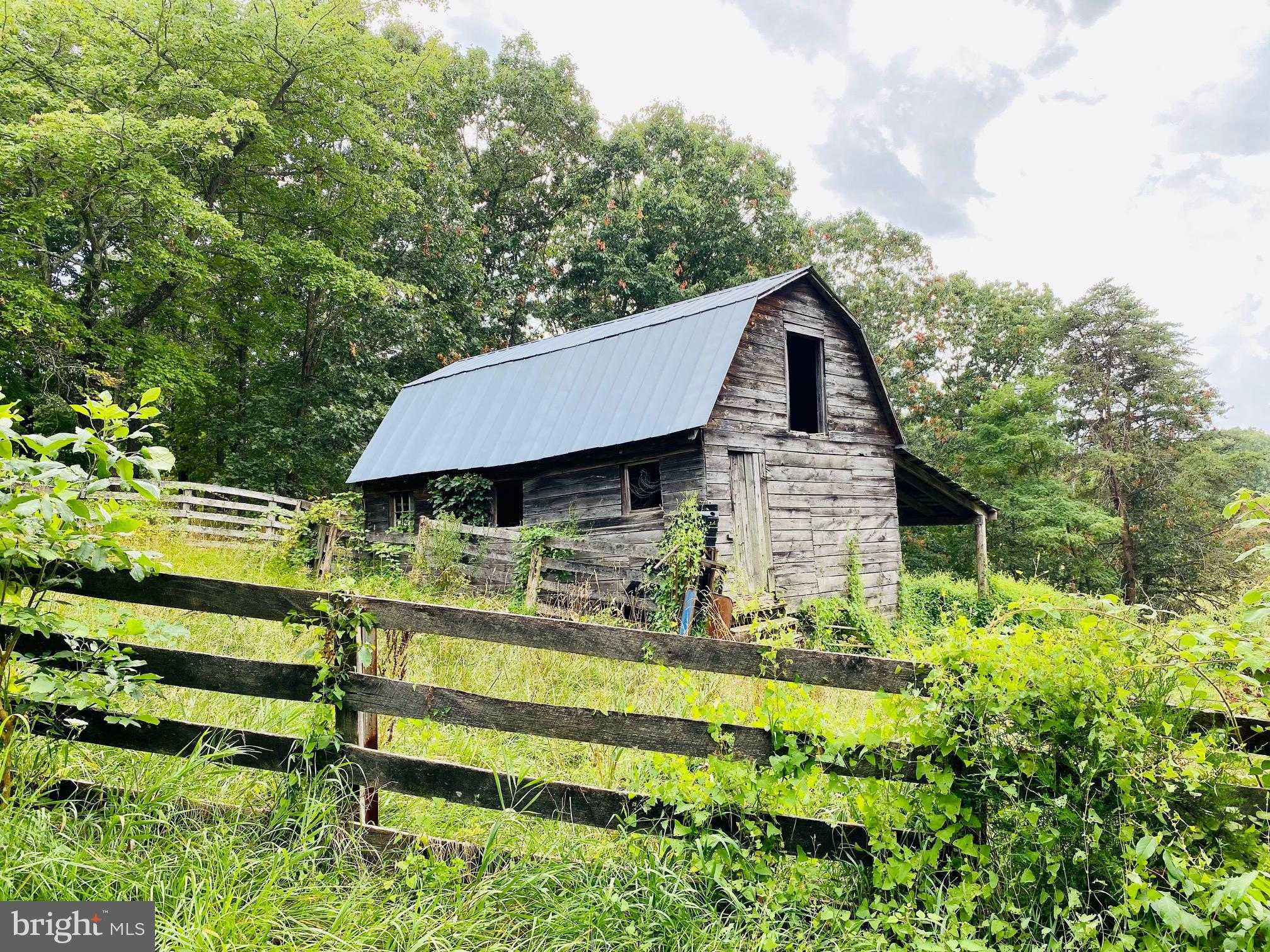 914 Plains Rd photo 6