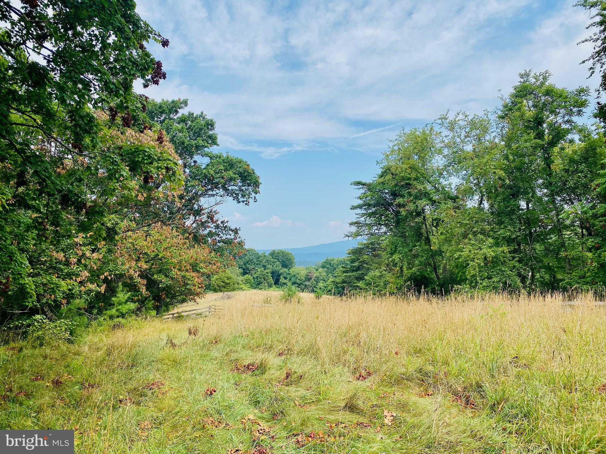 914 Plains Rd photo 9