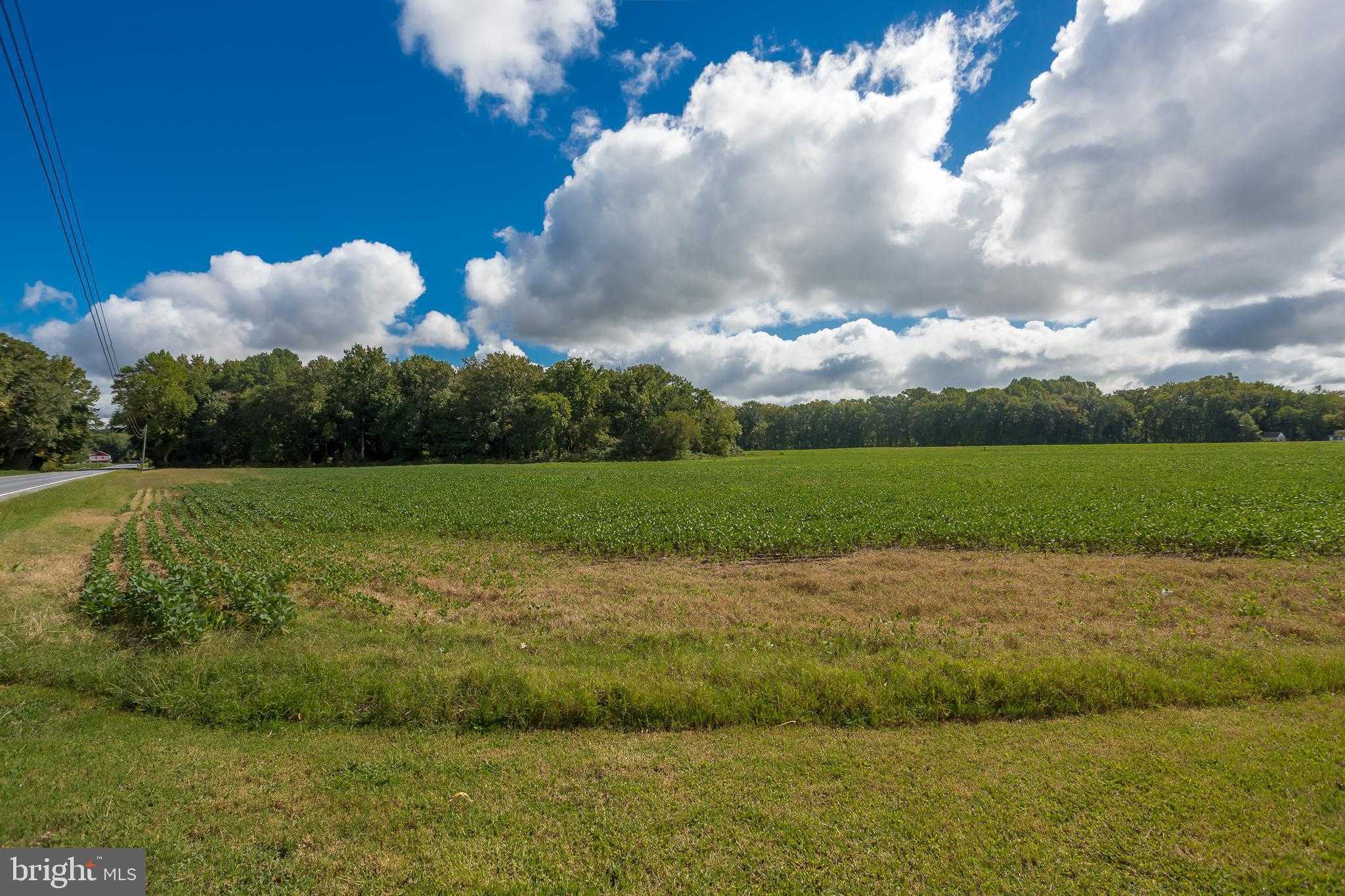 7751 Dividing Creek Rd photo 7