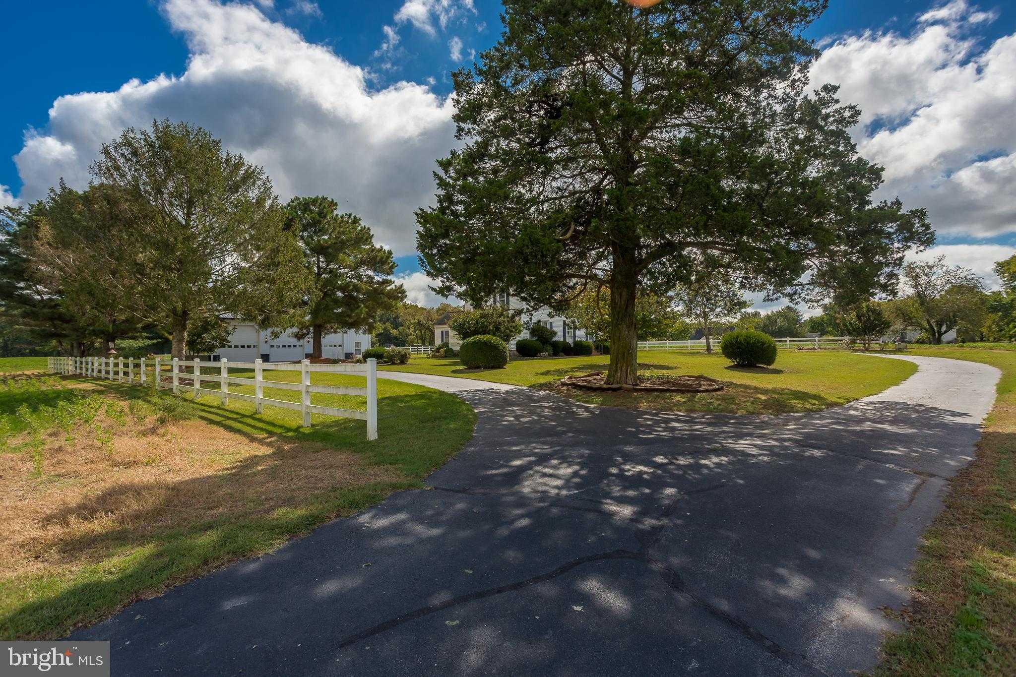 7751 Dividing Creek Rd photo 9