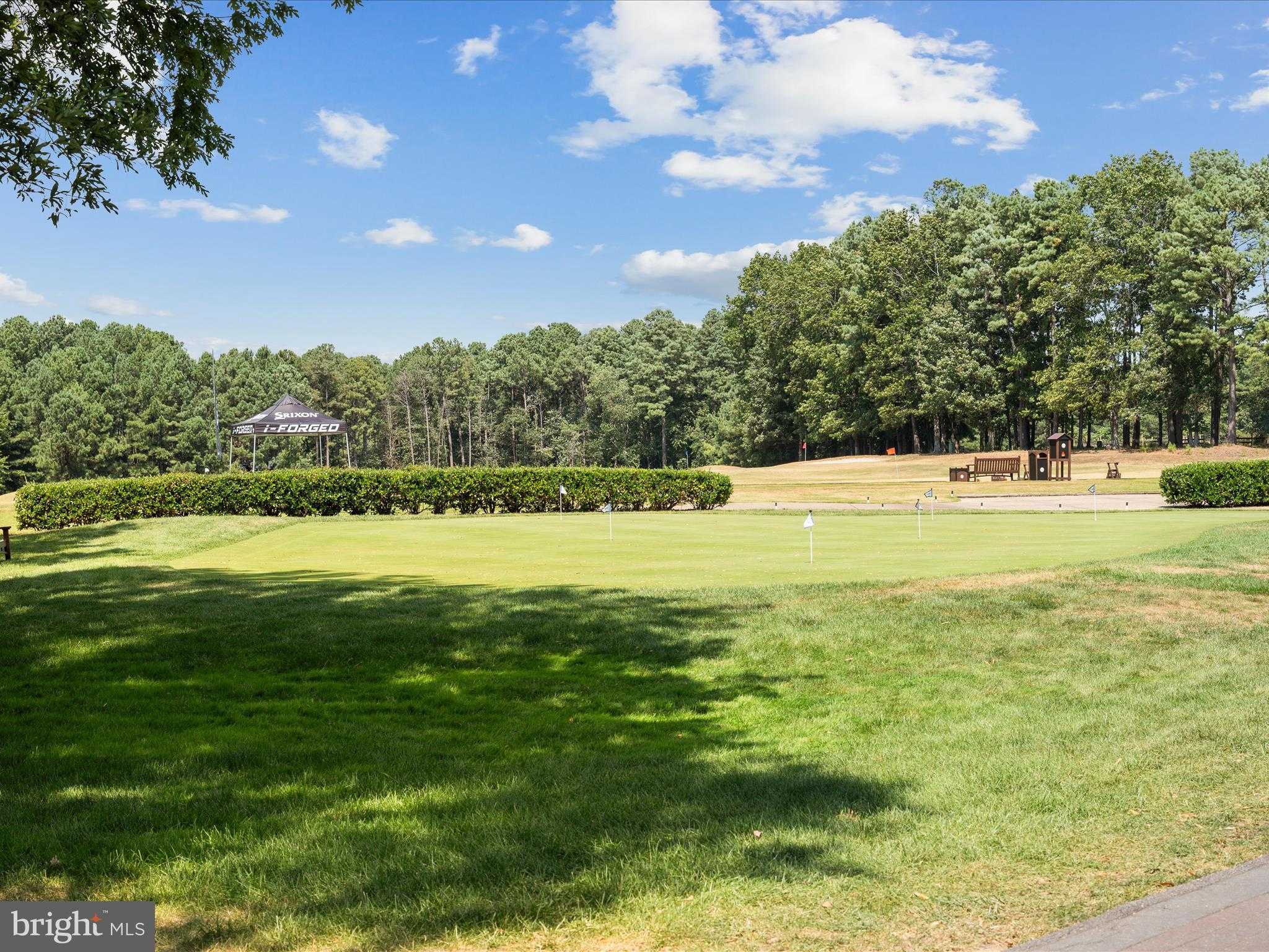 11710 Southview CT photo 79