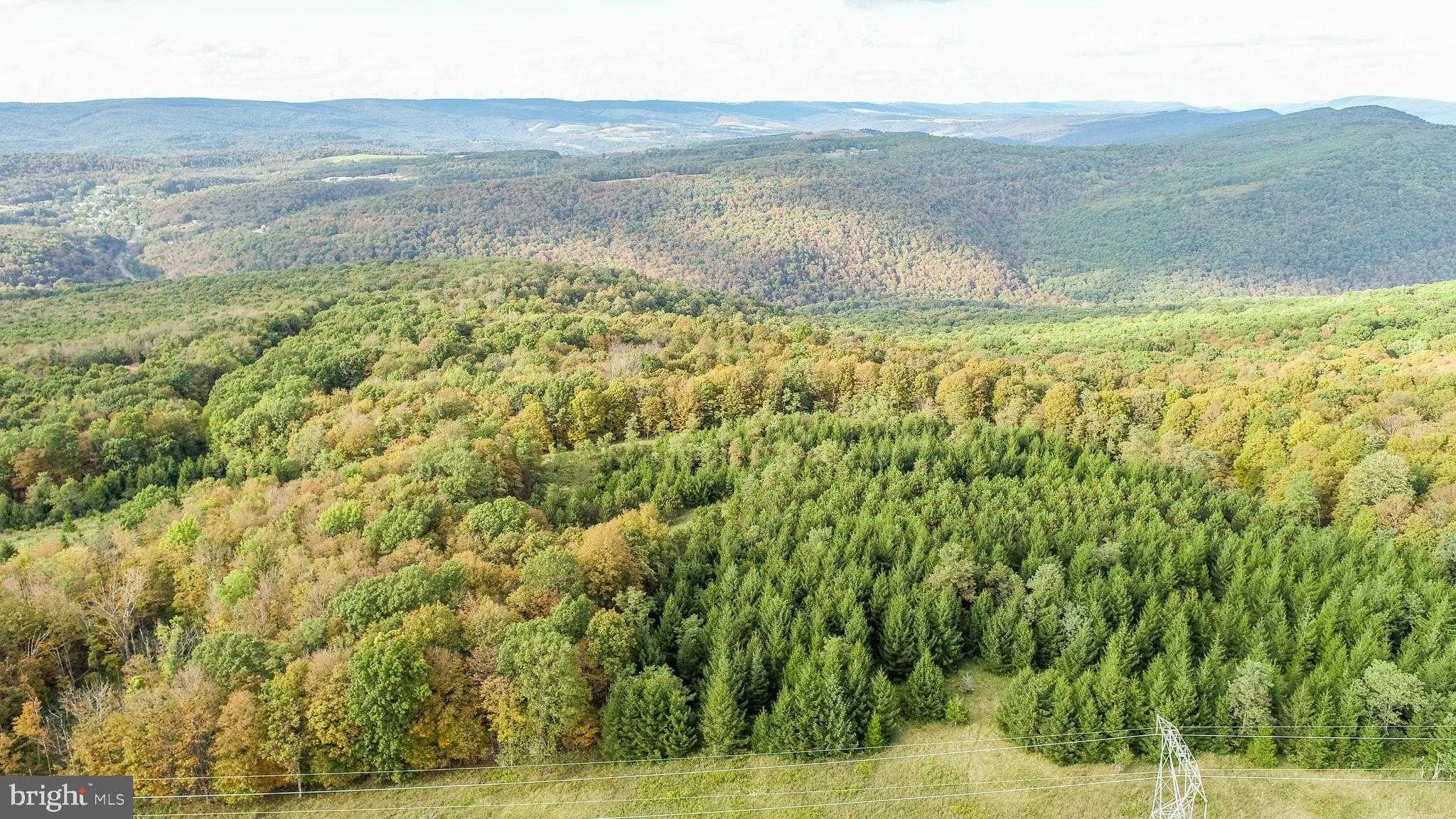 15800 Sprucewood Dr photo 23