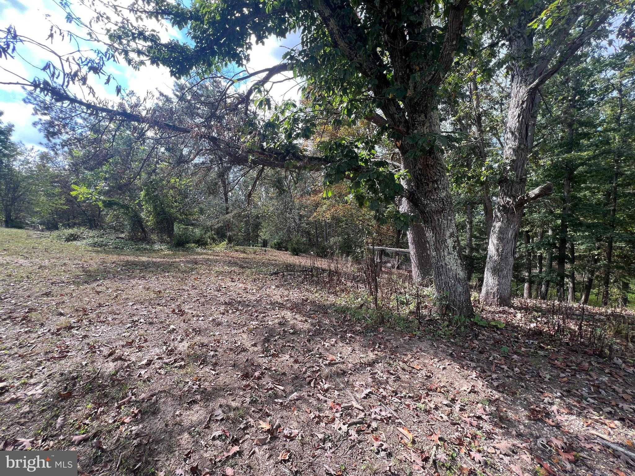 4549 Georges Run Rd photo 48