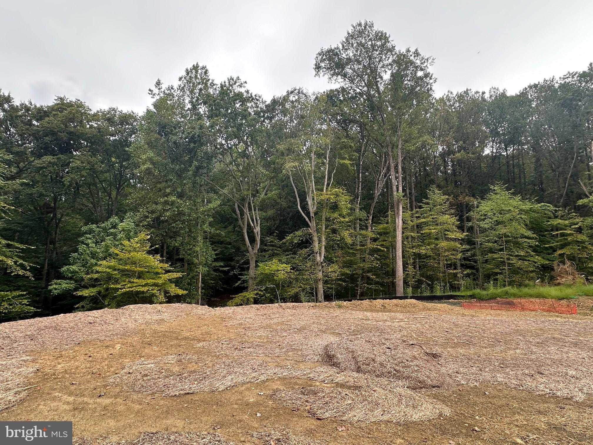 547 Webb Rd photo 58